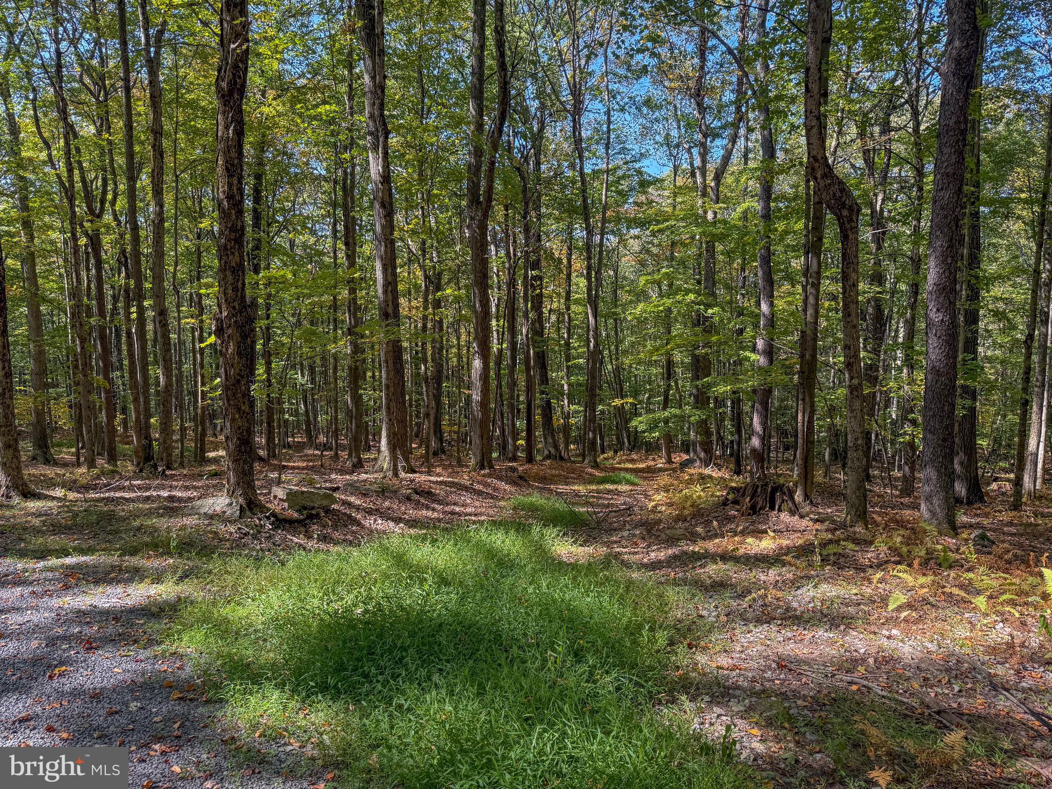 BACKBONE RIDGE - Land