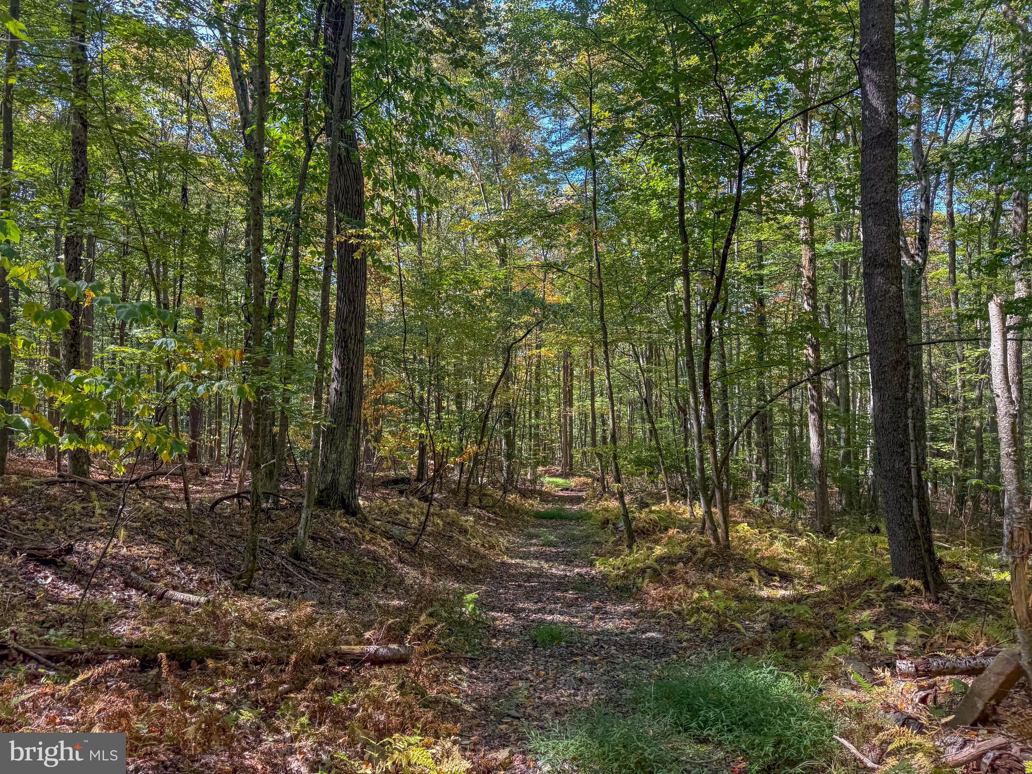 BACKBONE RIDGE - Land