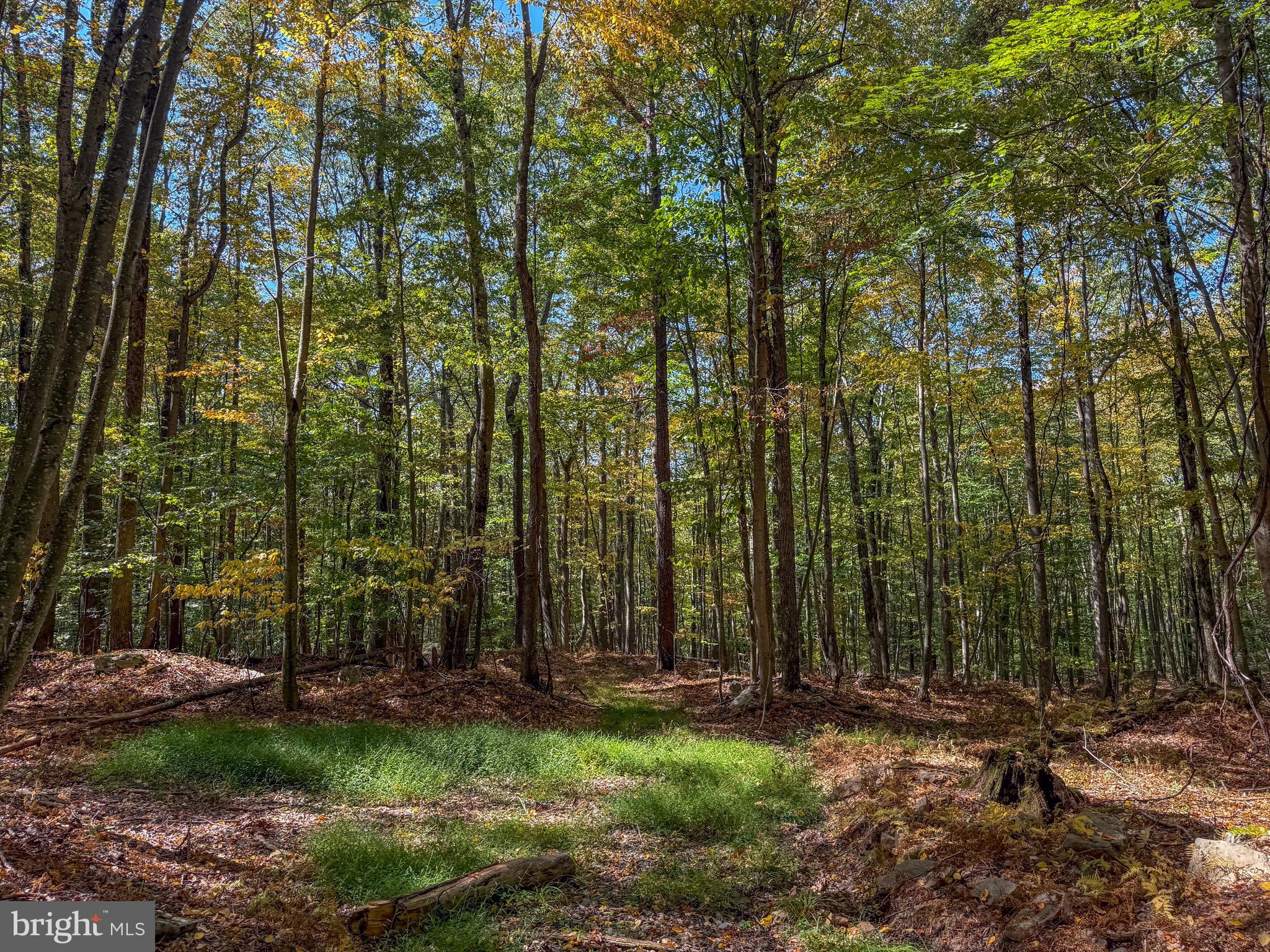 BACKBONE RIDGE - Land