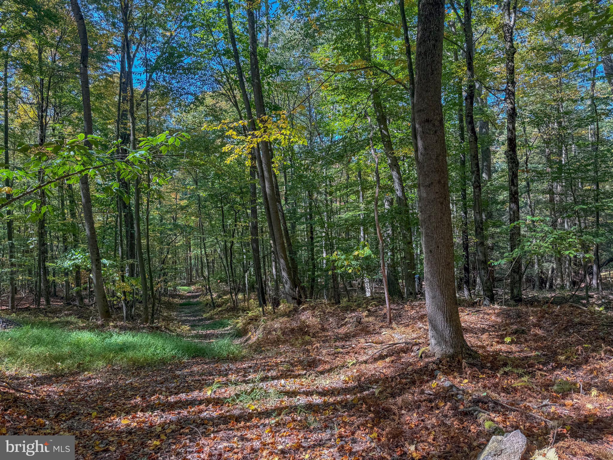 BACKBONE RIDGE - Land