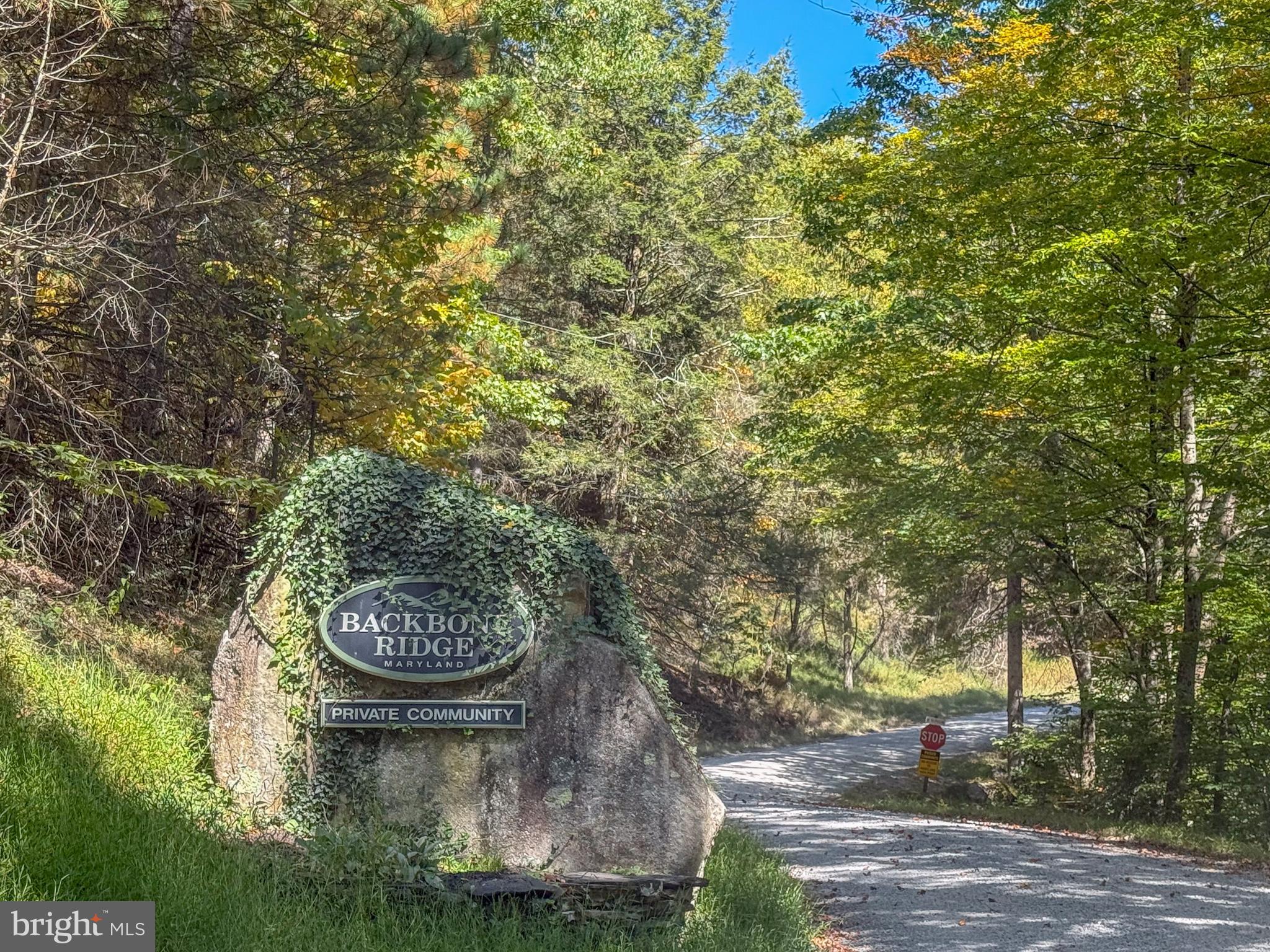 BACKBONE RIDGE - Land