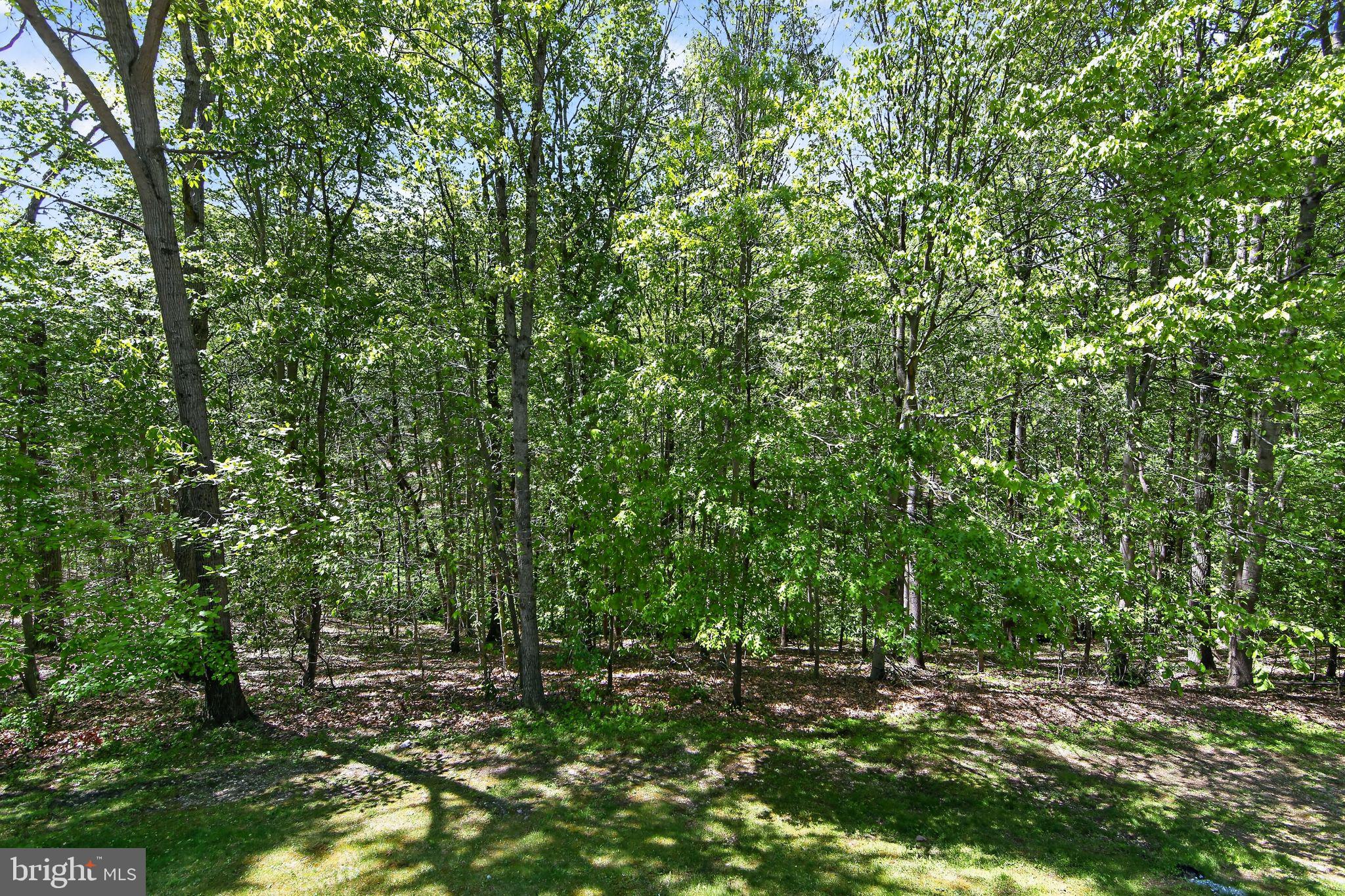VIRGINIA GLEN - Residential