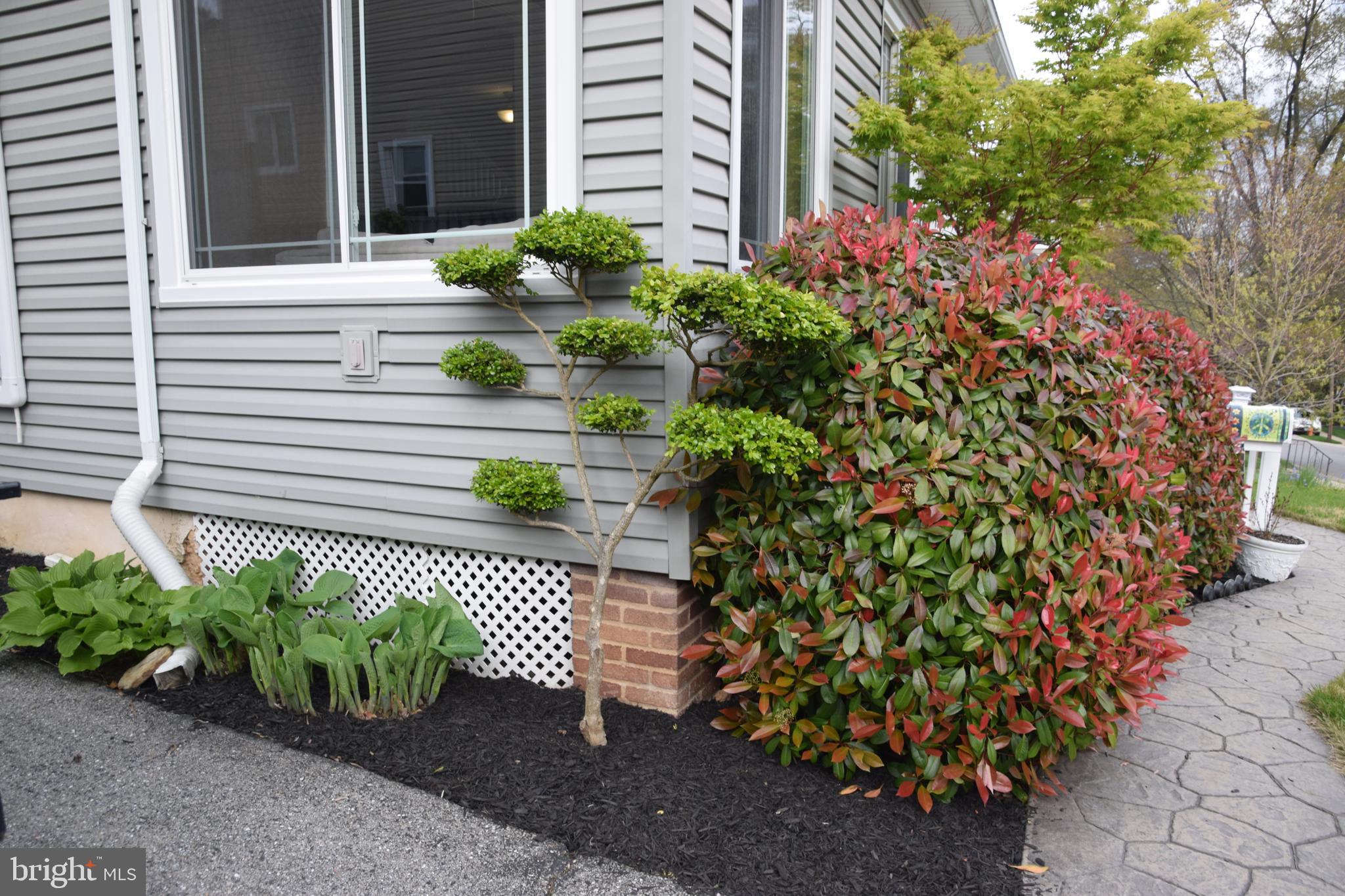 IDLEWYLDE - Residential