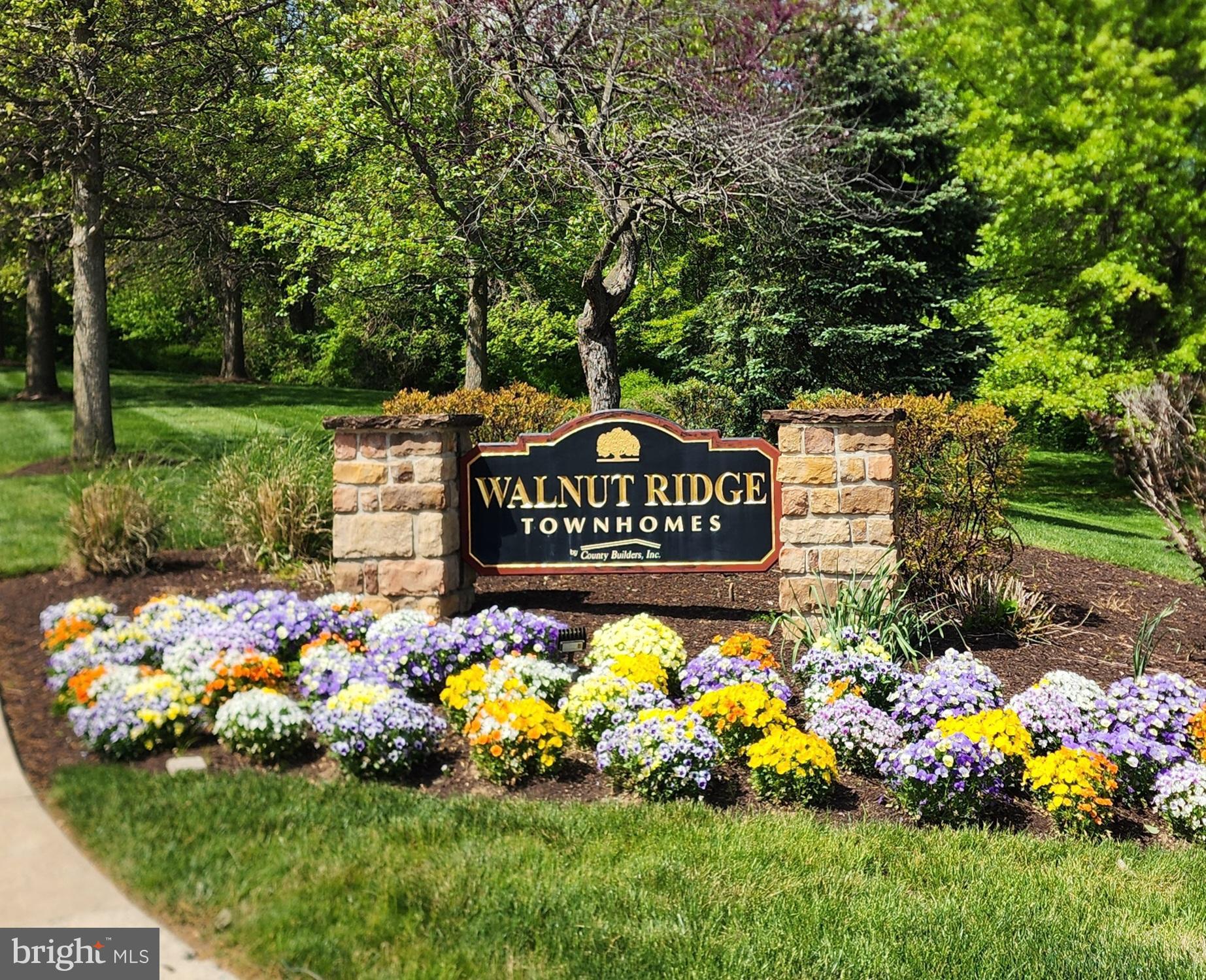 WALNUT RIDGE - Residential
