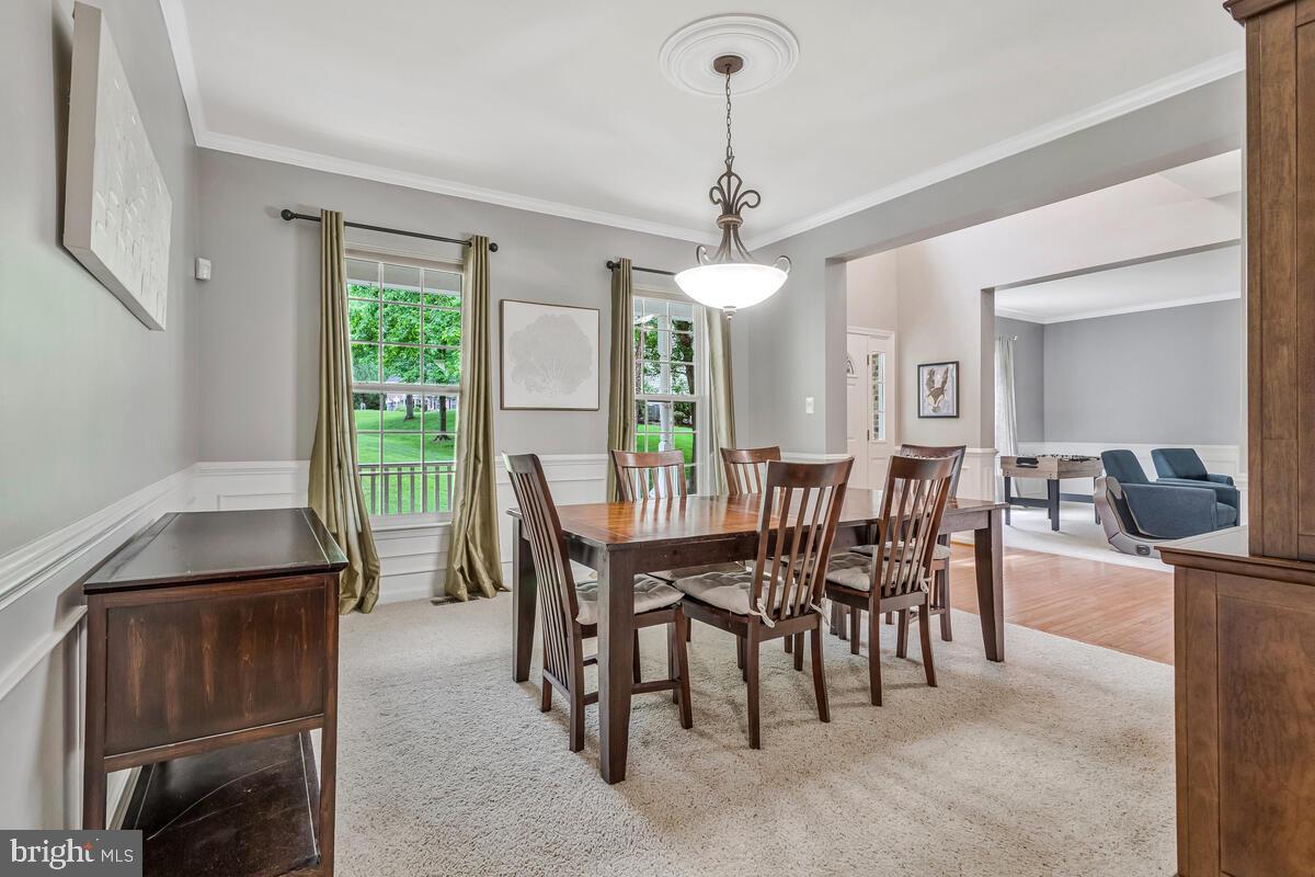 LORINS PRIDE - Residential