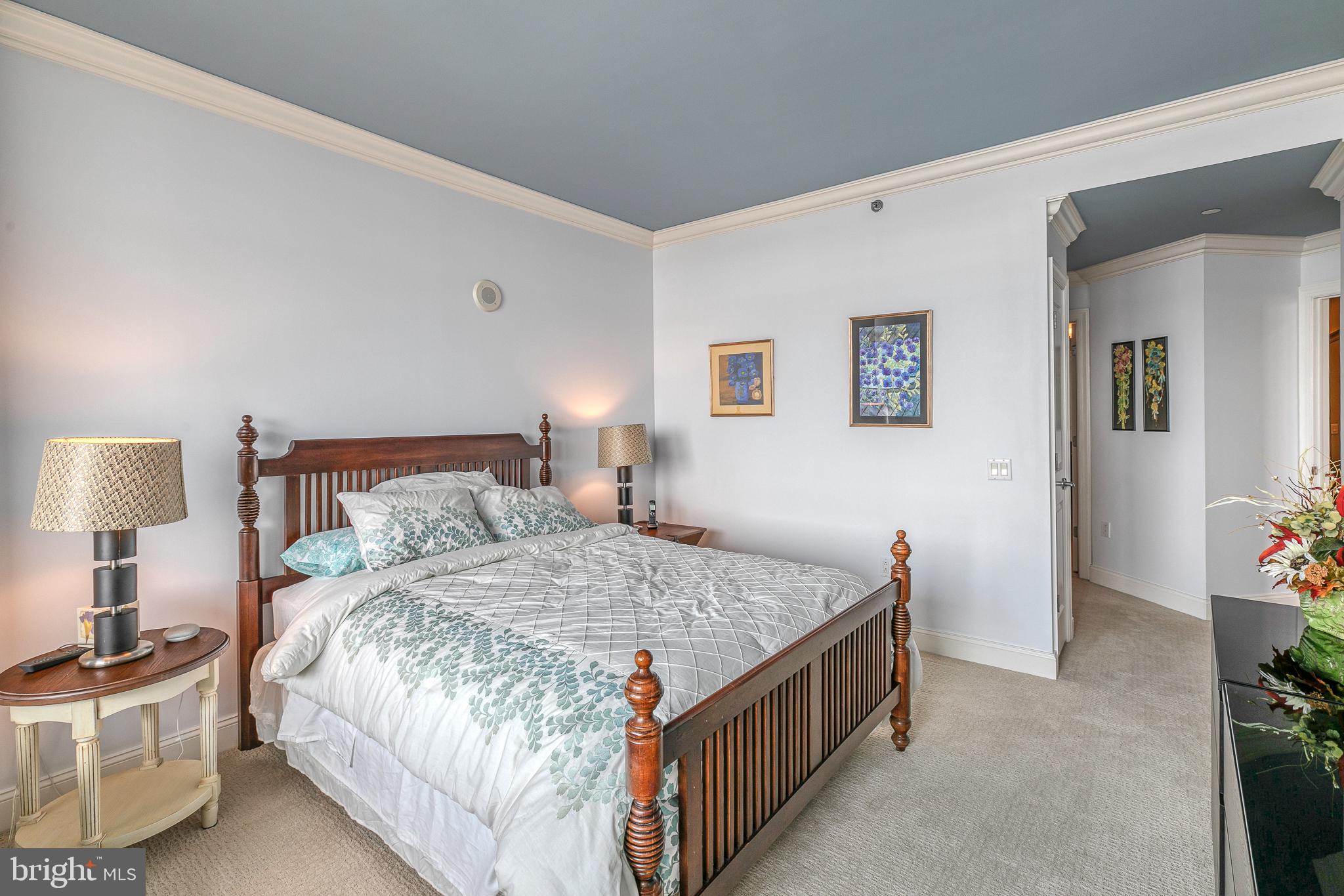 AVENUE OF THE ARTS - Residential