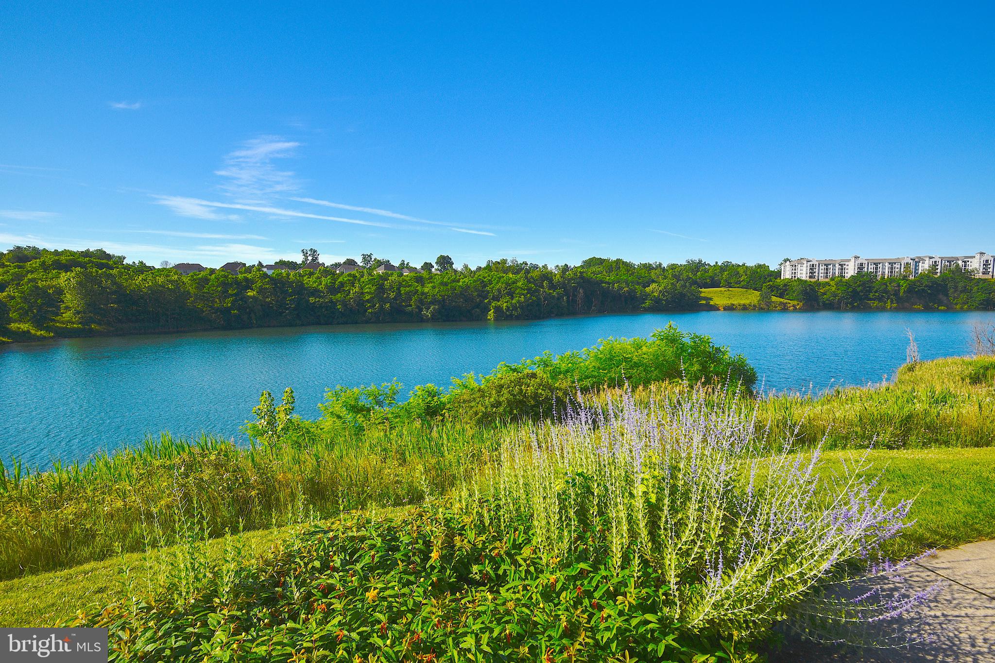 THE BLUFFS AT QUARRY LAKE - Residential