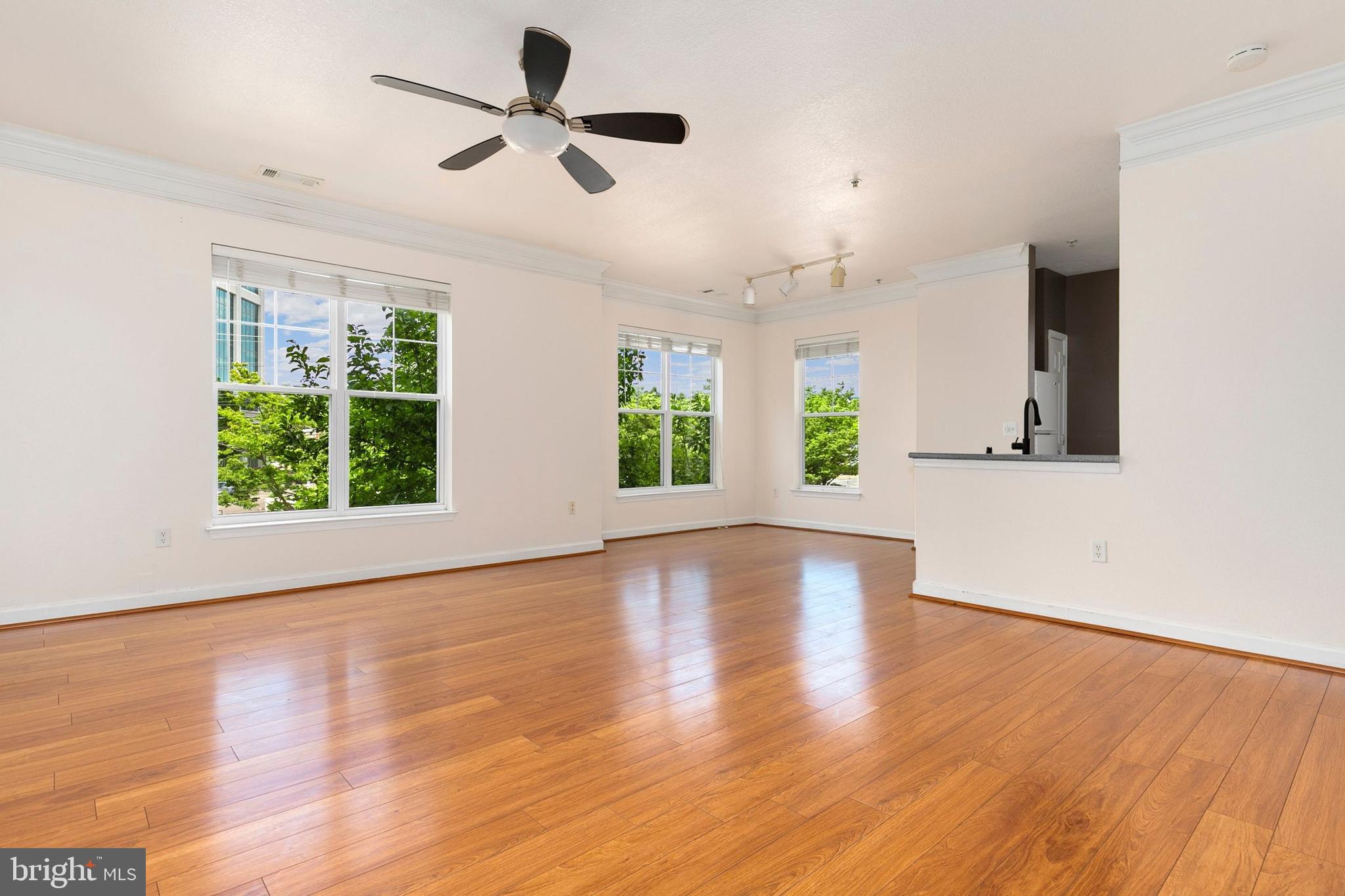 FITZ AT ROCKVILLE TOWN C - Residential