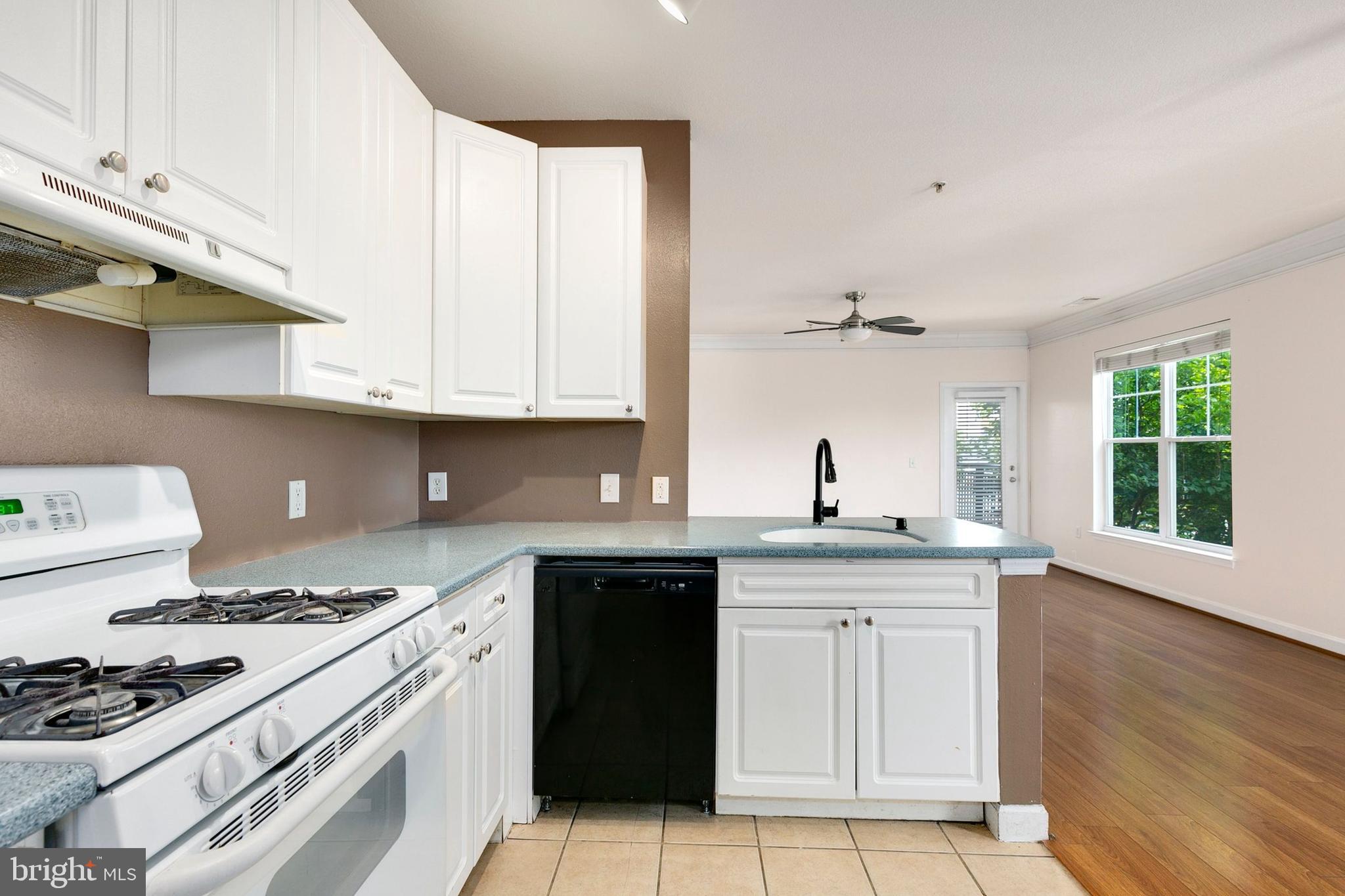 FITZ AT ROCKVILLE TOWN C - Residential