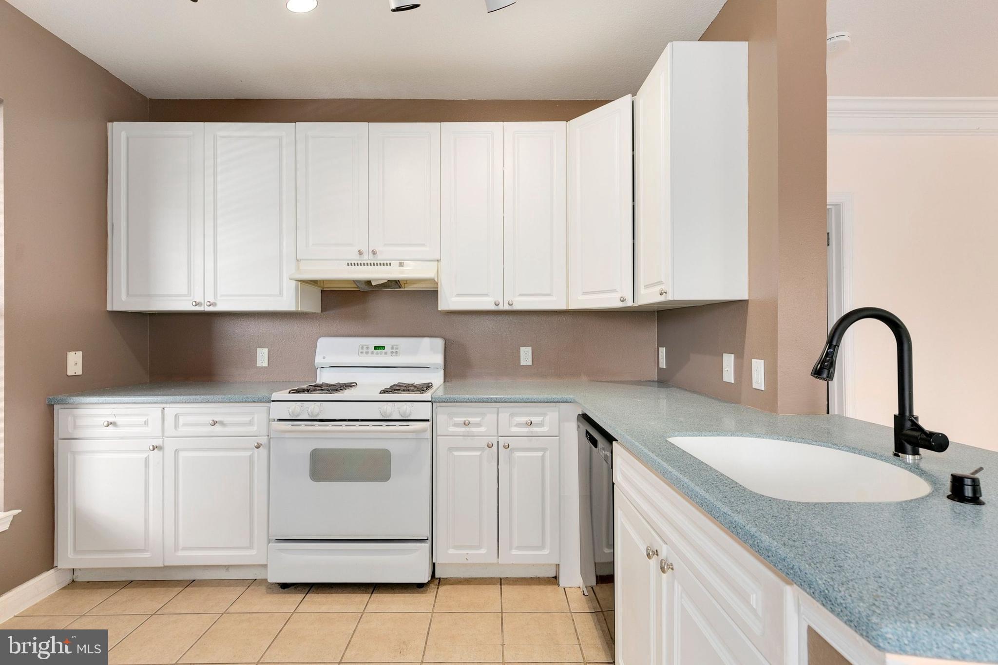 FITZ AT ROCKVILLE TOWN C - Residential