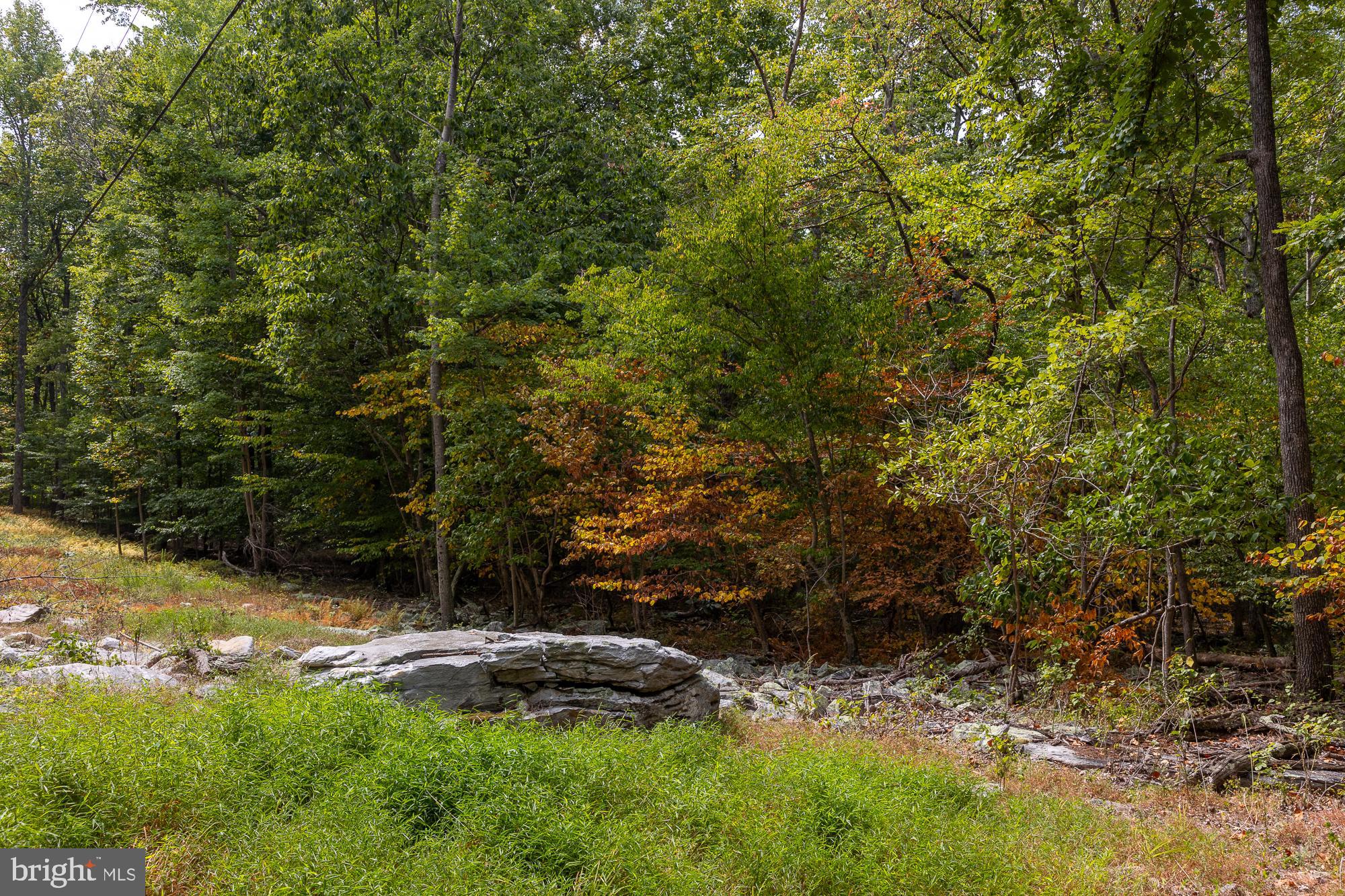 BULL RUN MOUNTAIN ROAD