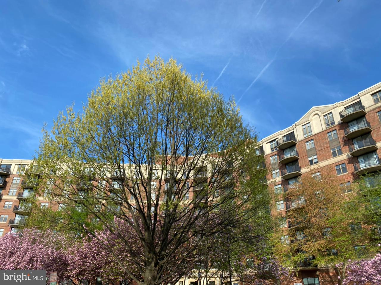 CLEVELAND PARK - Residential Lease
