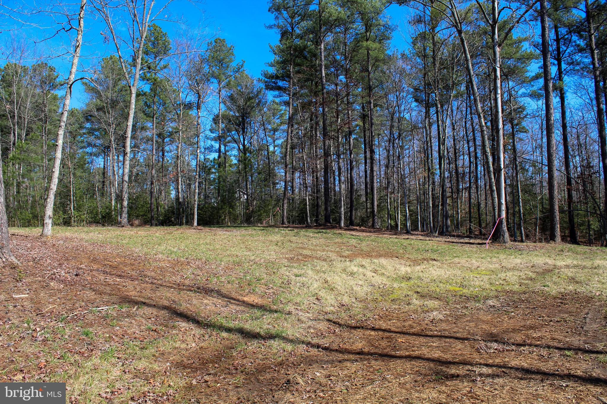 THE ESTATES AT LIGHT LANE - Residential