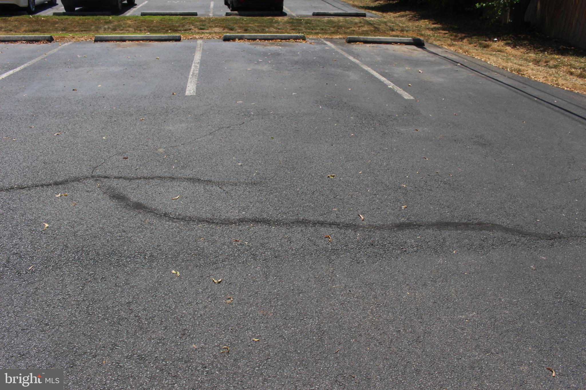 CEDAR LEE CONDOMINIUM - Residential