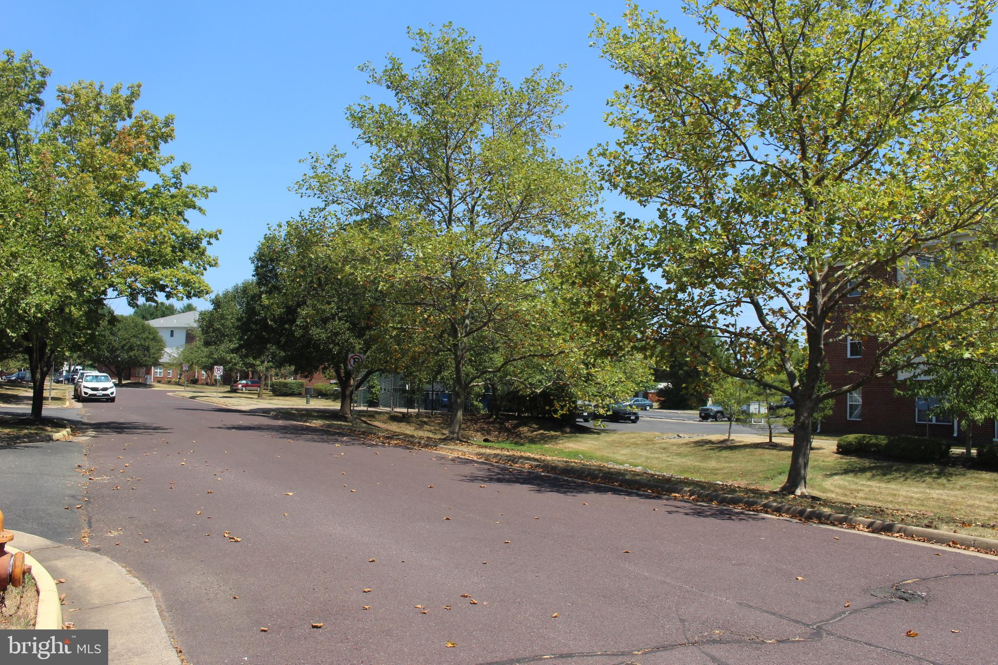 CEDAR LEE CONDOMINIUM - Residential