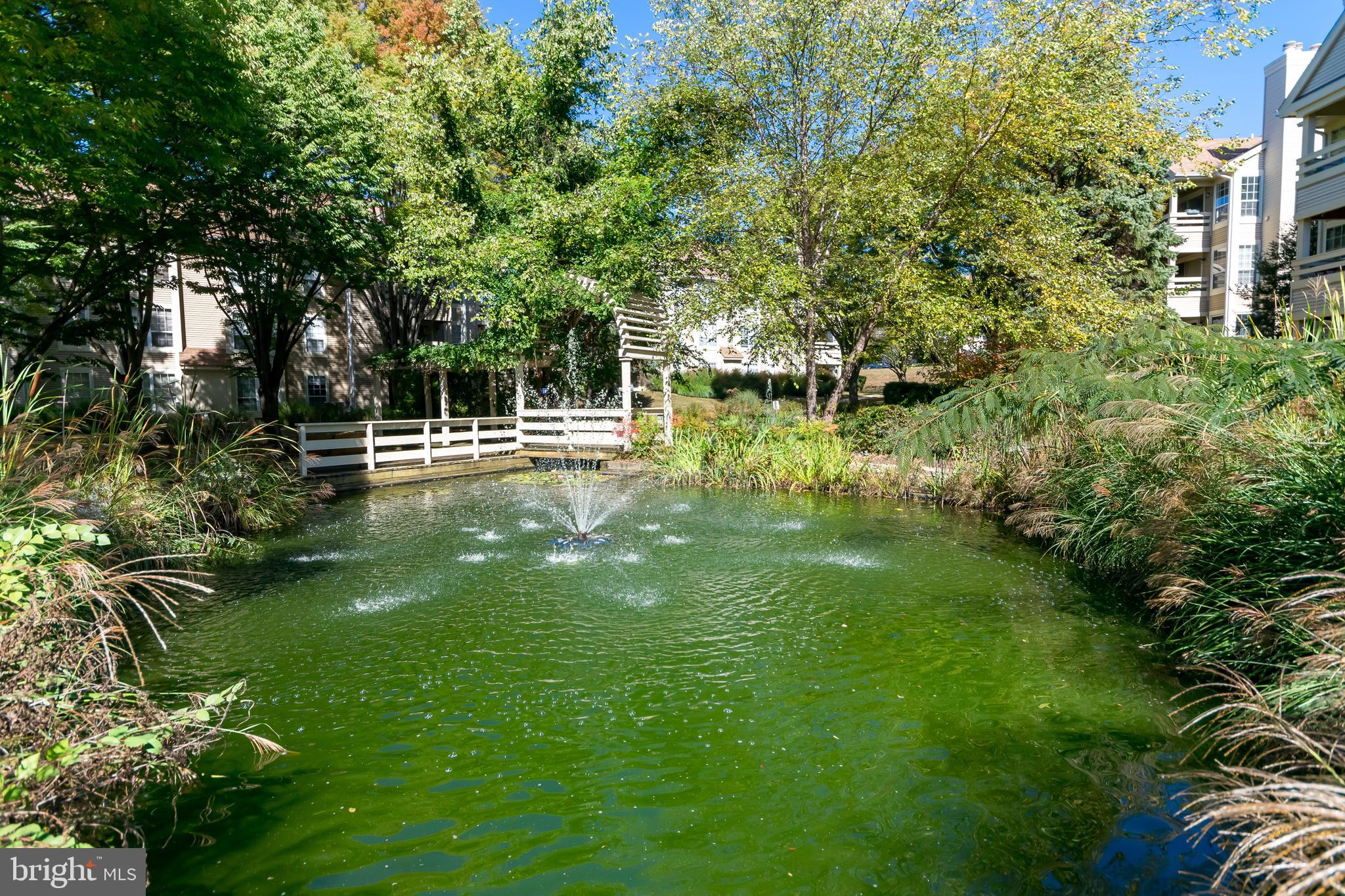 CARR AT PINECREST - Residential