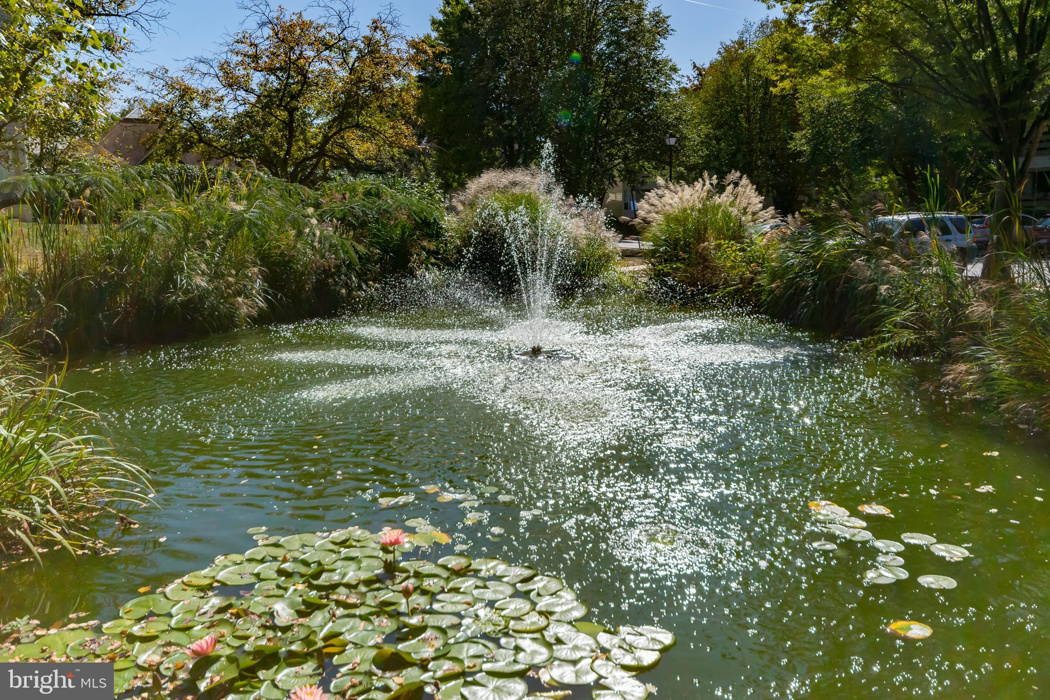 CARR AT PINECREST - Residential