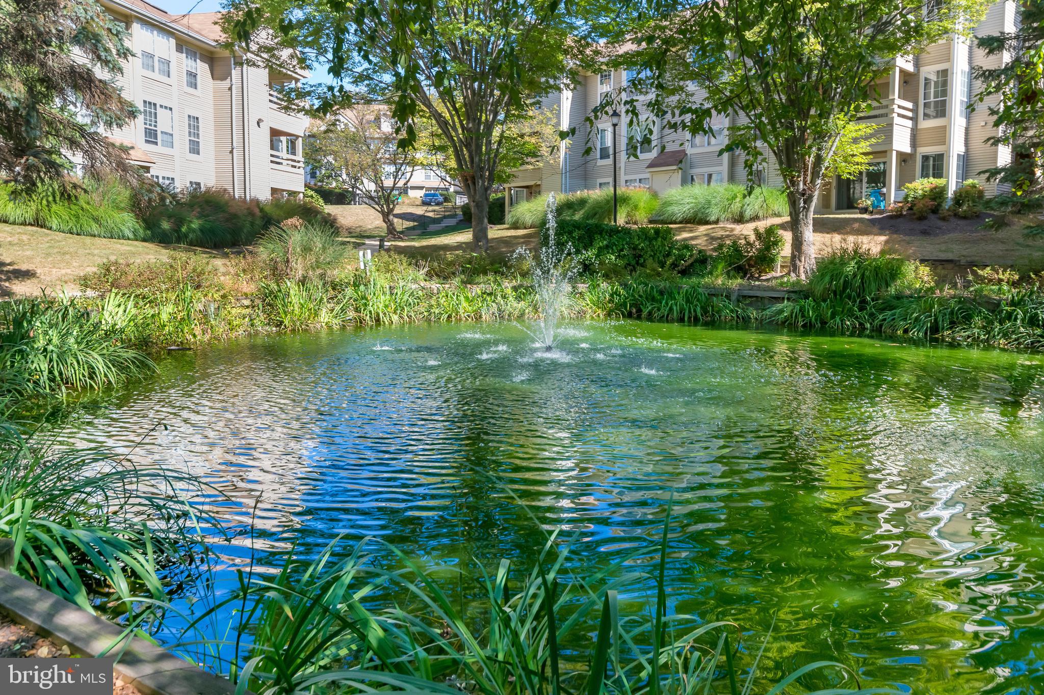 CARR AT PINECREST - Residential