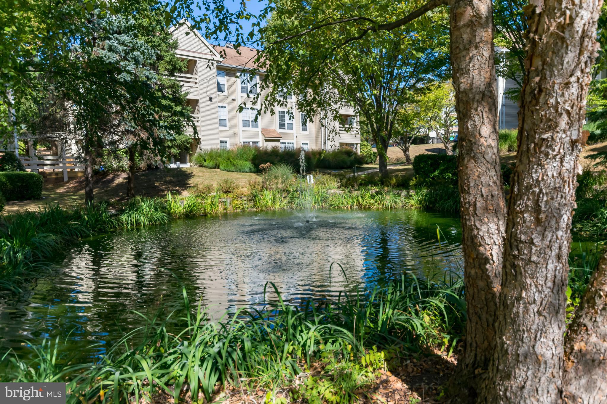 CARR AT PINECREST - Residential