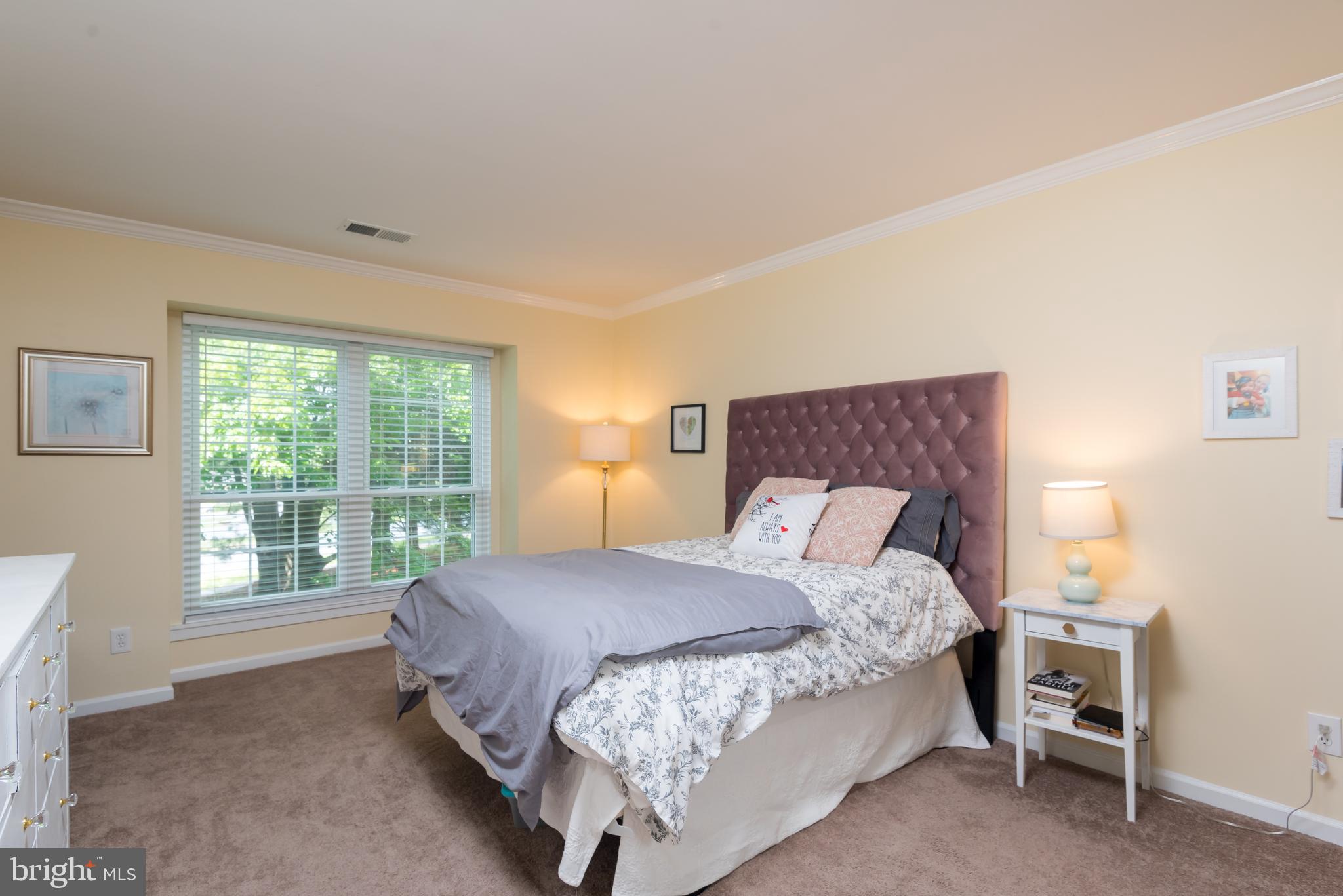 CARR AT PINECREST - Residential