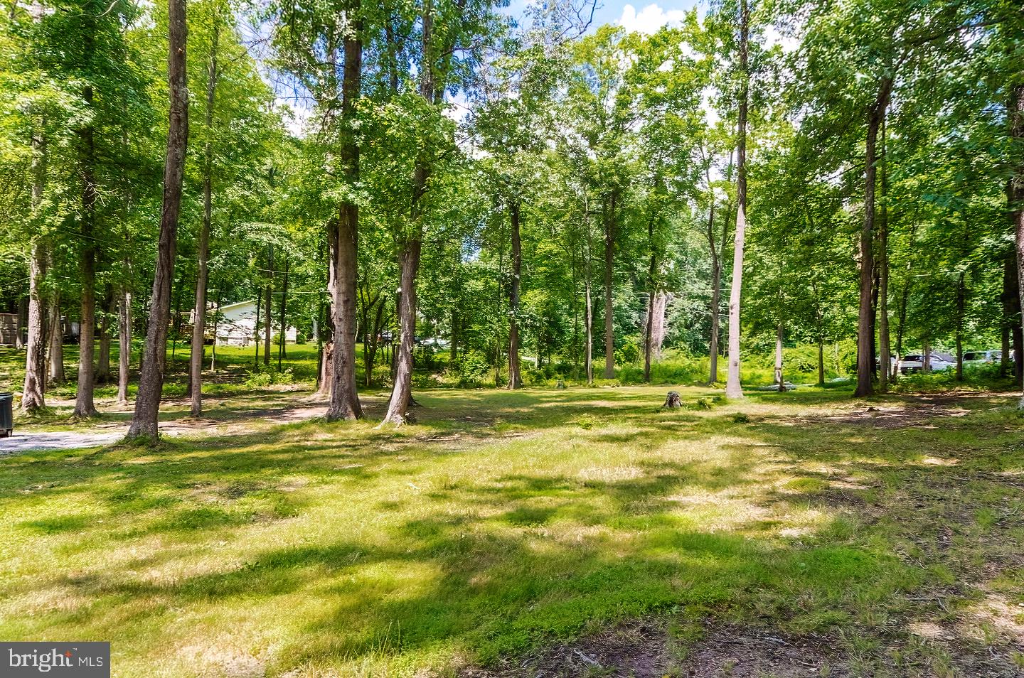 RIVER VIEW PARK - Residential