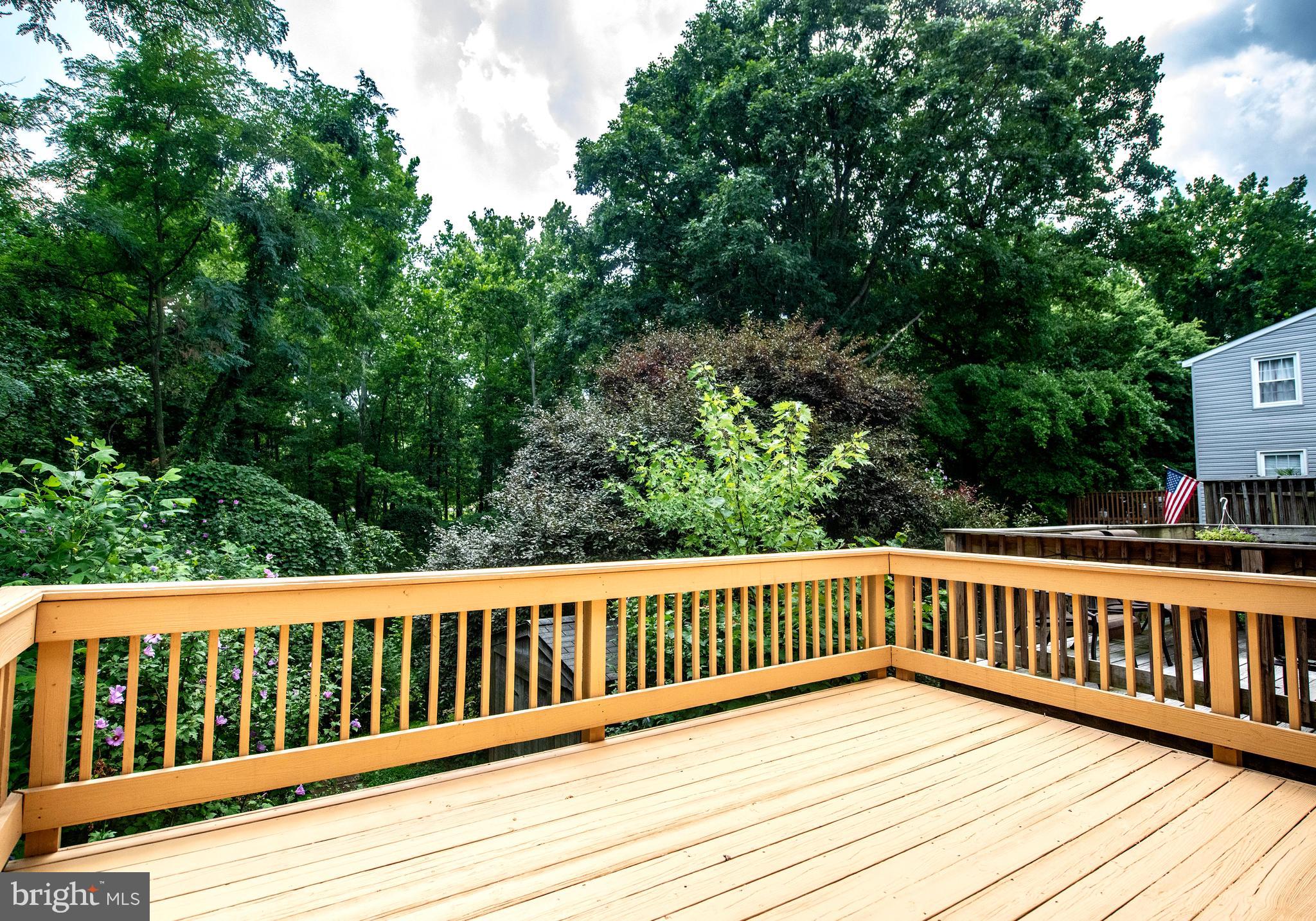 BELMONT SOUTH - Residential Lease