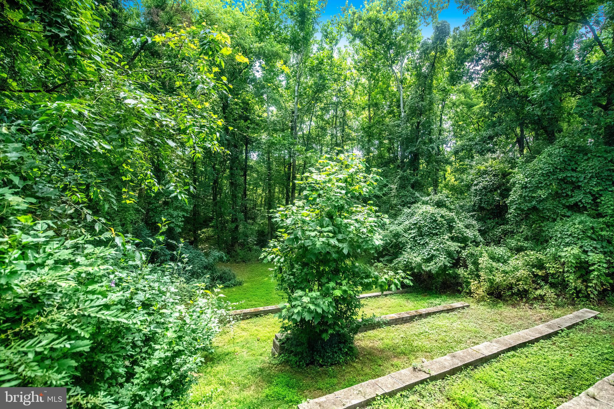 BELMONT SOUTH - Residential Lease