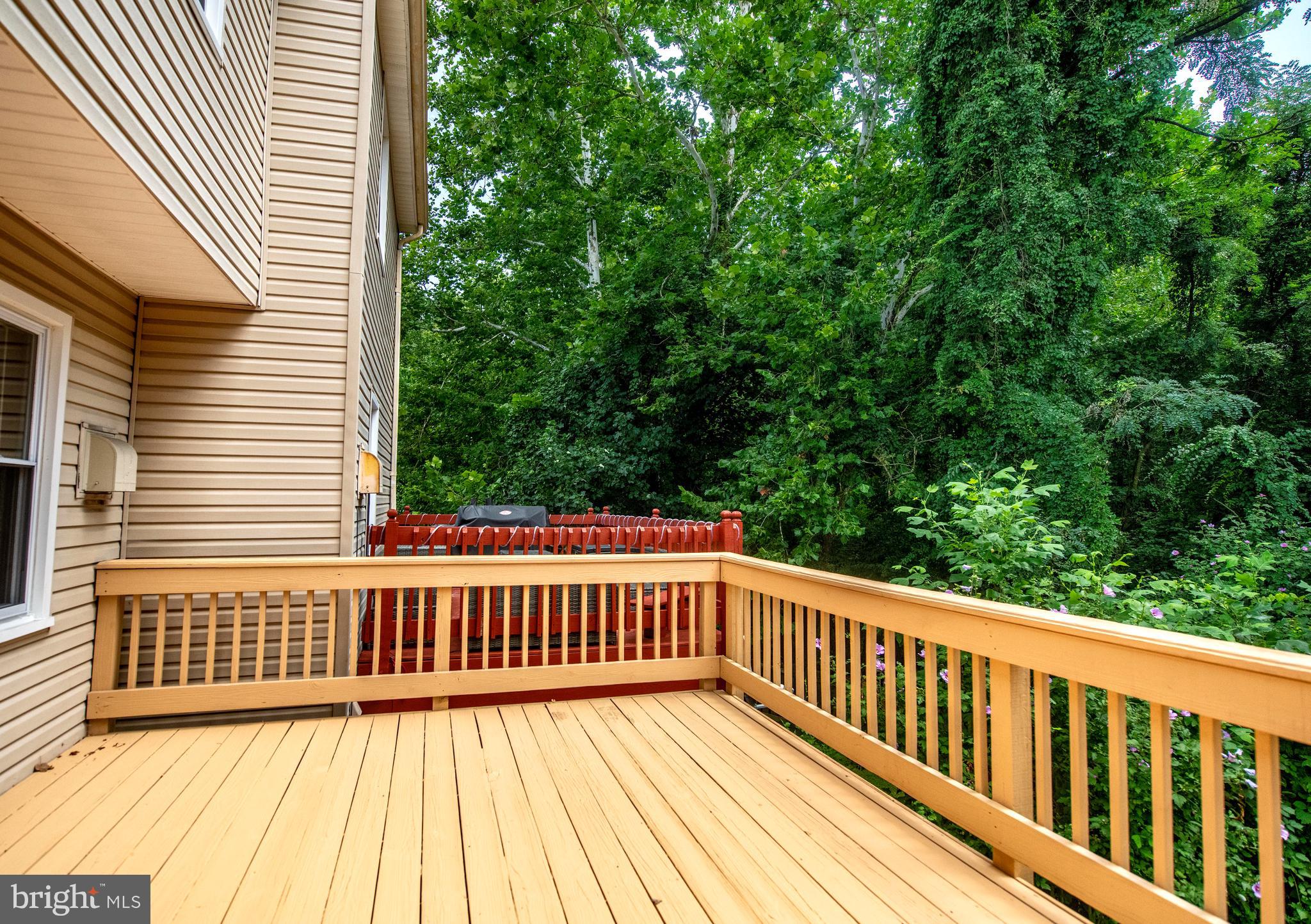 BELMONT SOUTH - Residential Lease