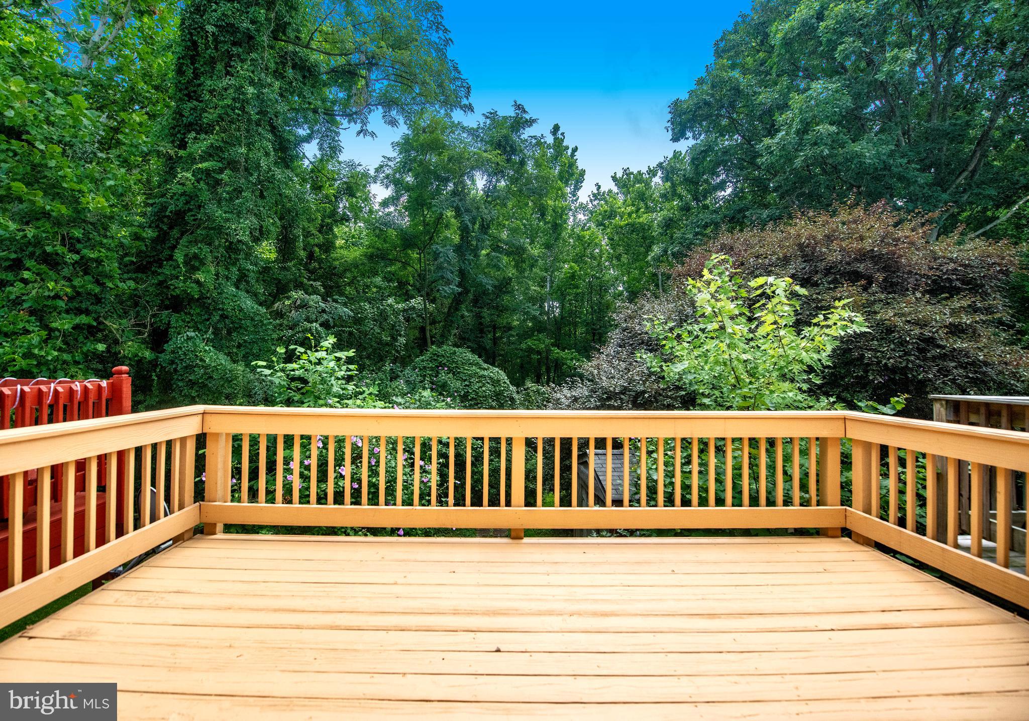 BELMONT SOUTH - Residential Lease