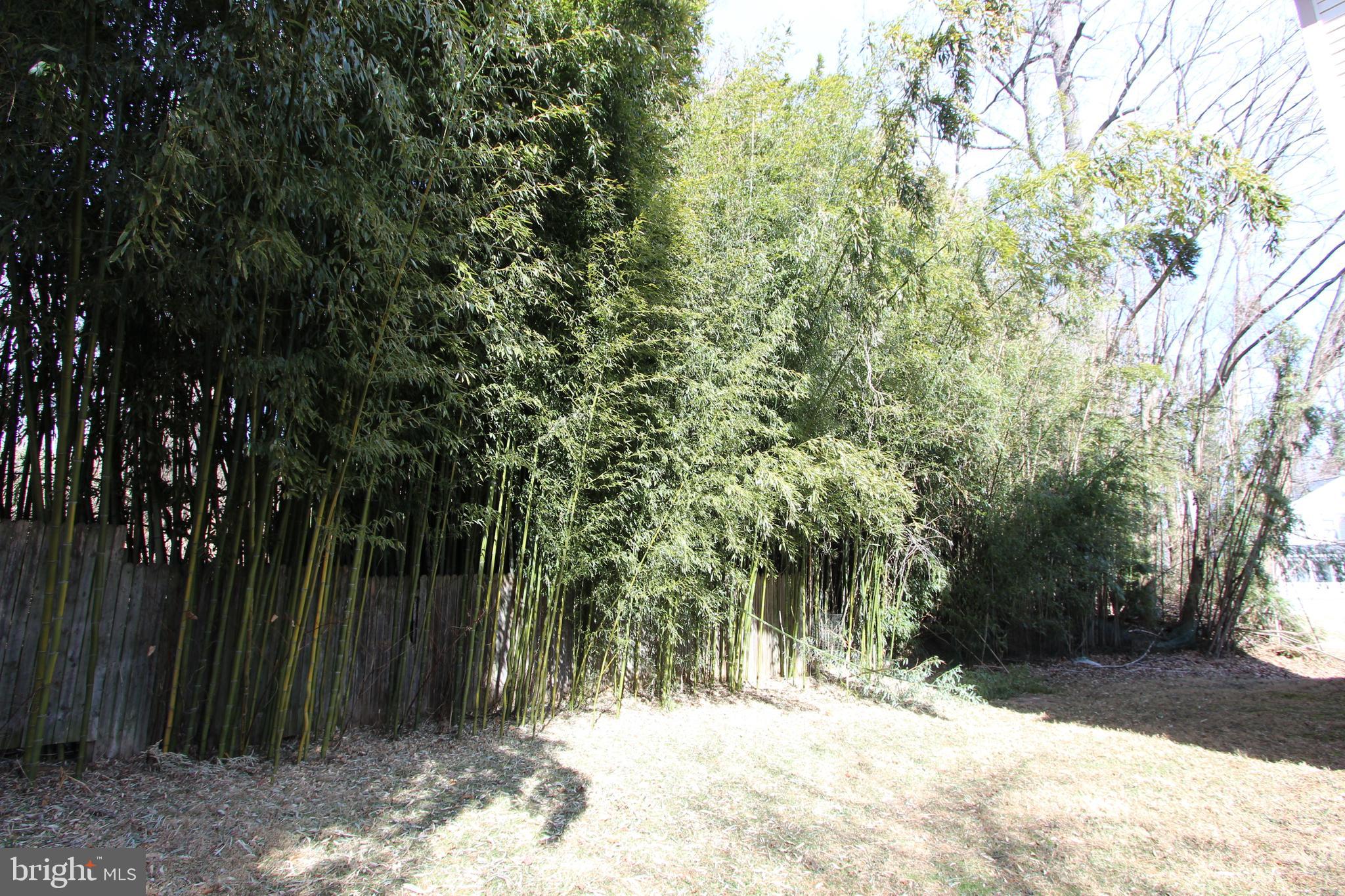 WHEATON OUT RES. (1) - Residential