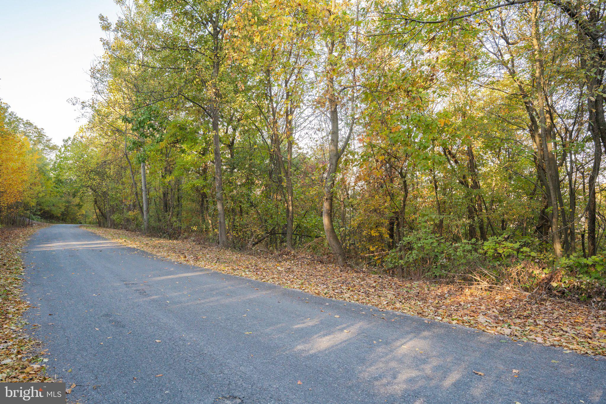 ROUND TOP ESTATES - Land