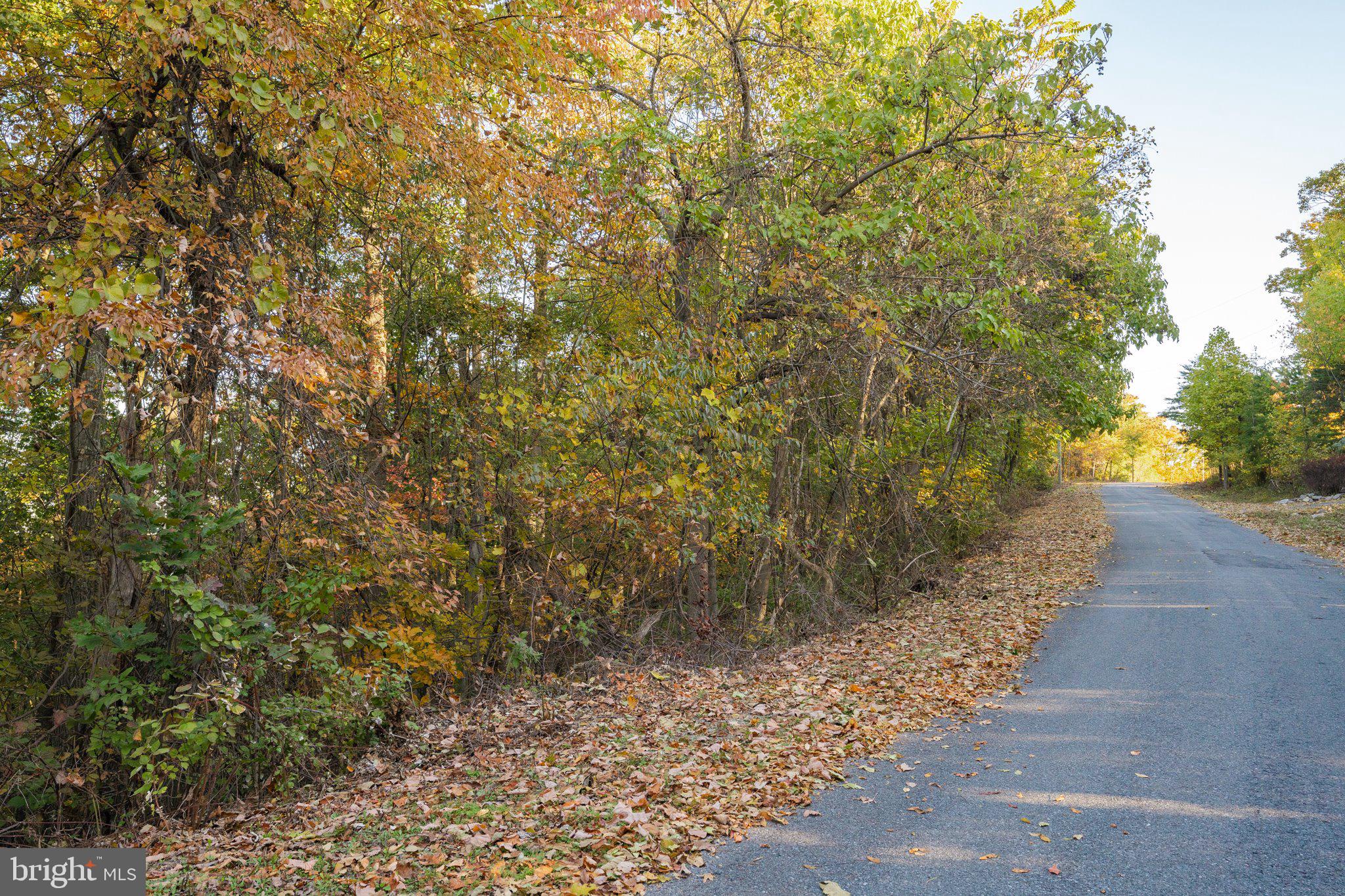 ROUND TOP ESTATES - Land