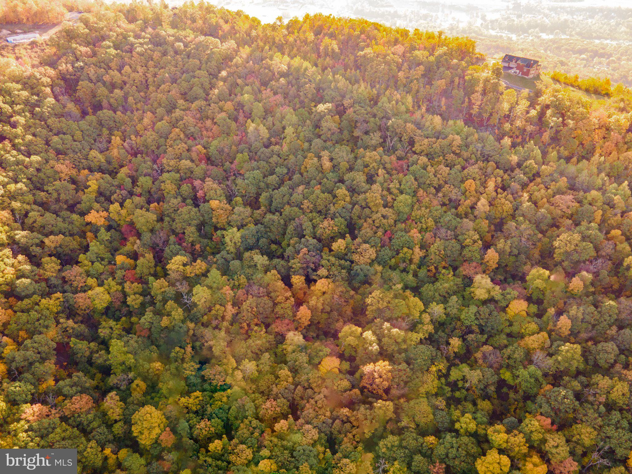 ROUND TOP ESTATES - Land