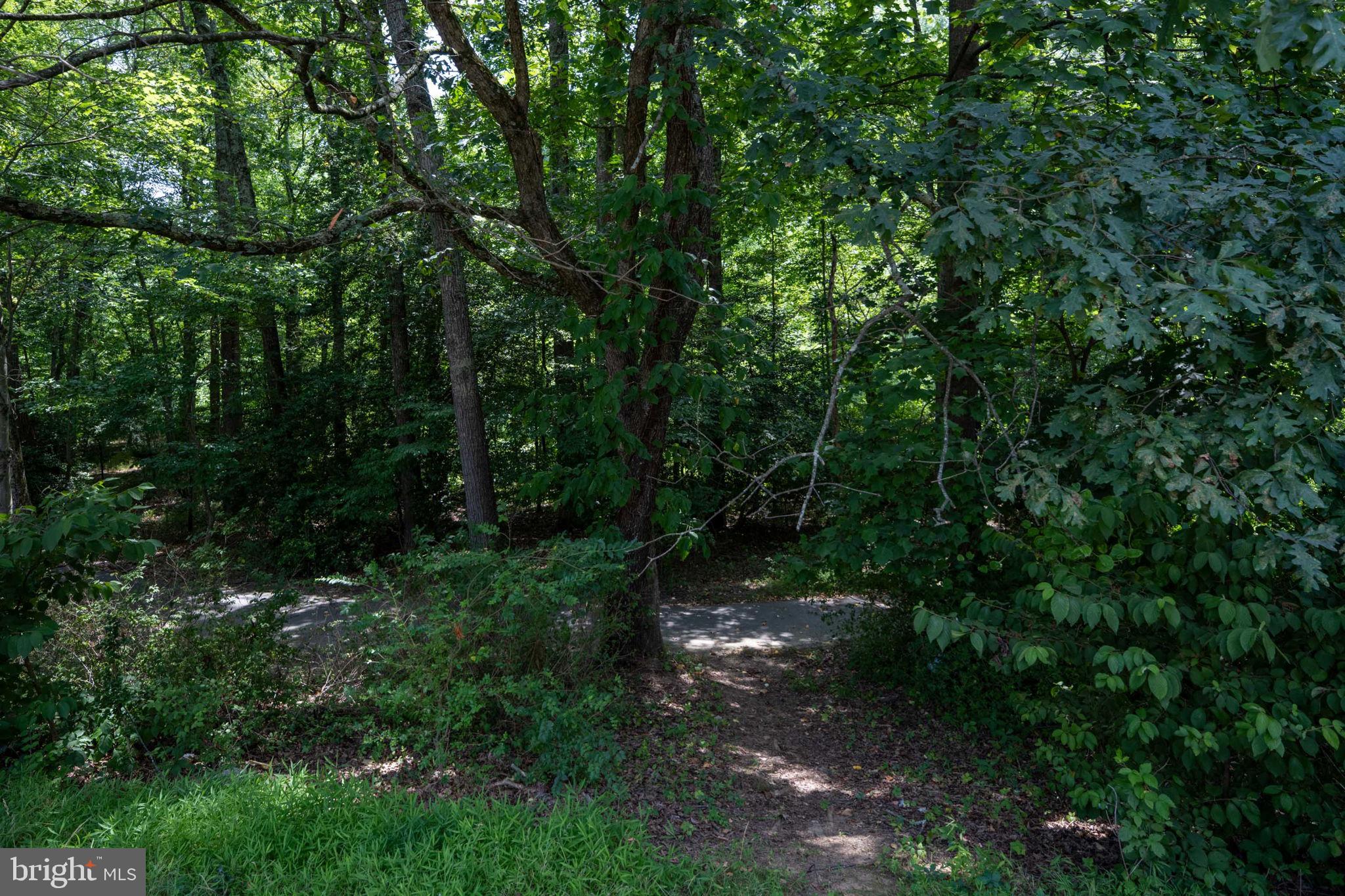 SHADOWOOD - Residential