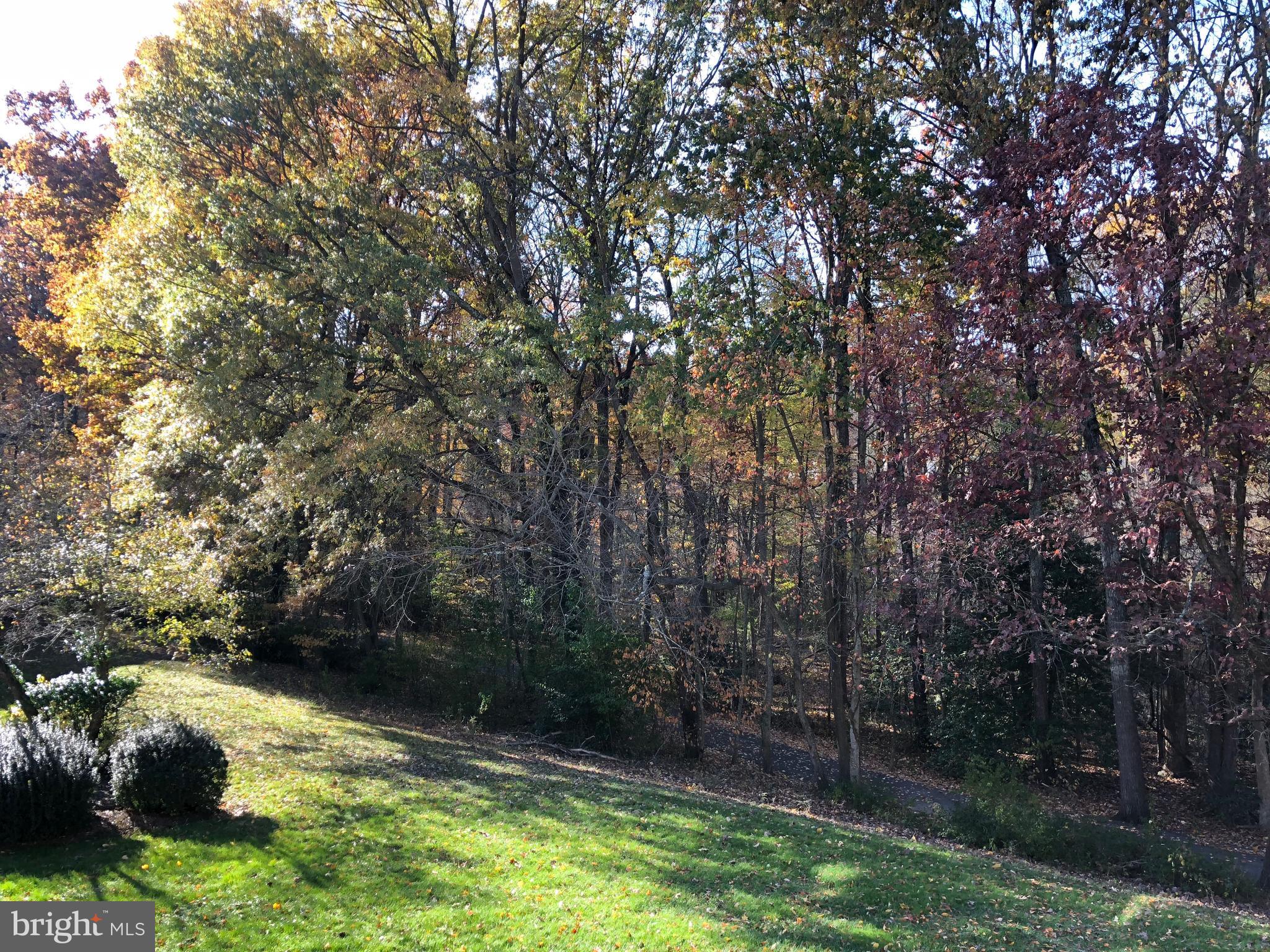 SHADOWOOD - Residential