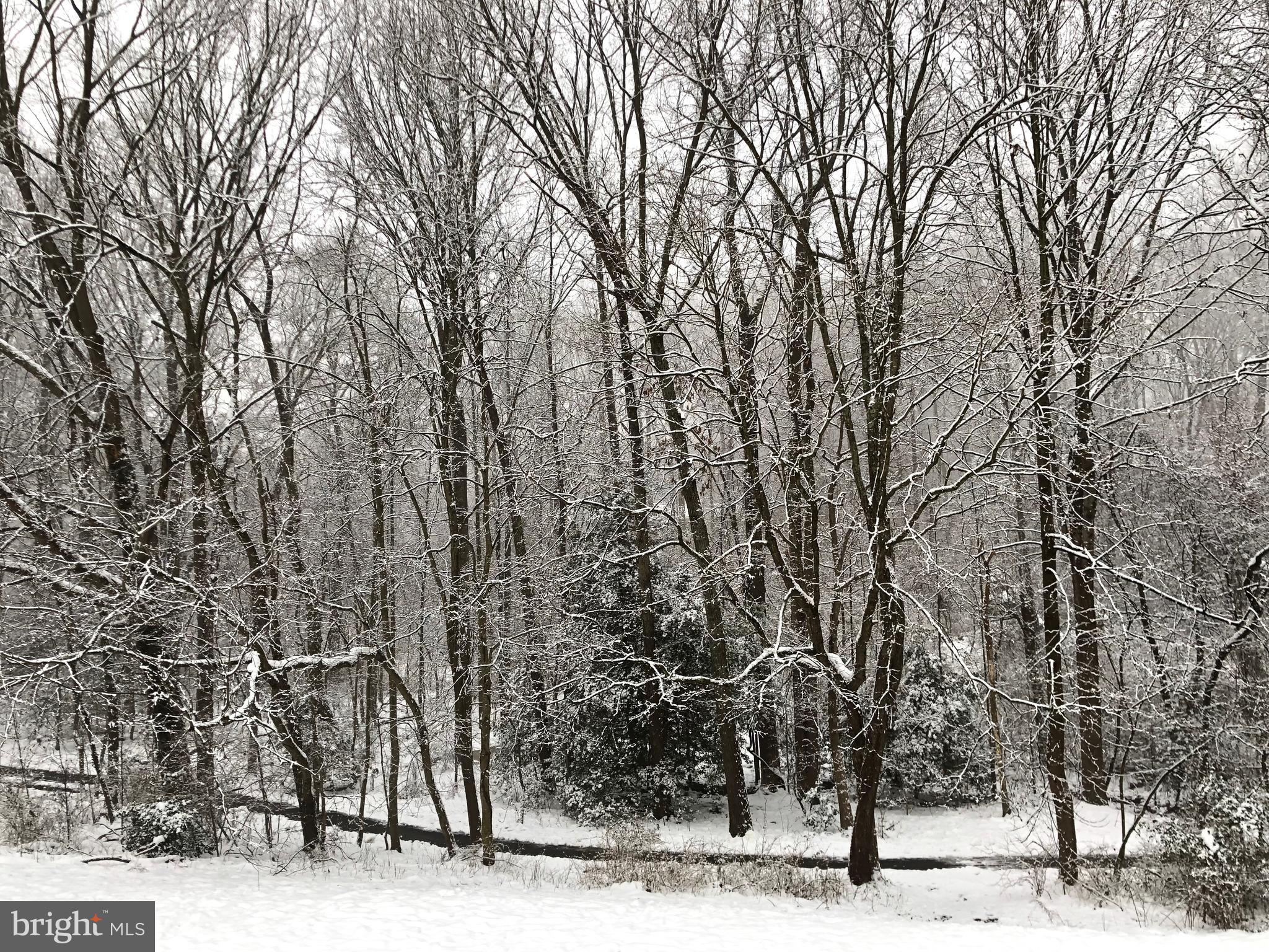 SHADOWOOD - Residential