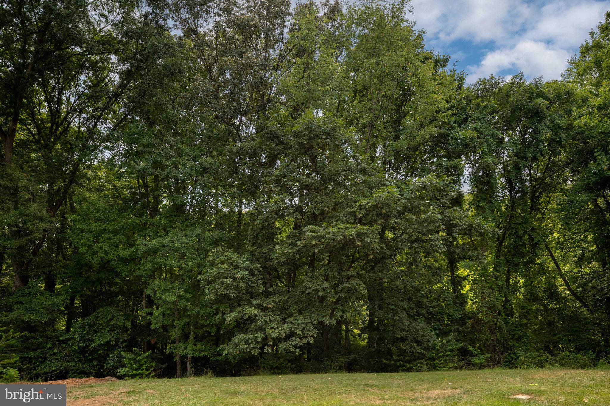 SHADOWOOD - Residential