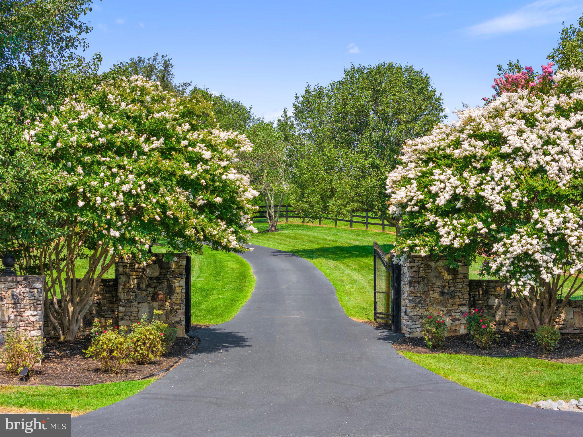 SADDLE RIDGE FARMS - Residential