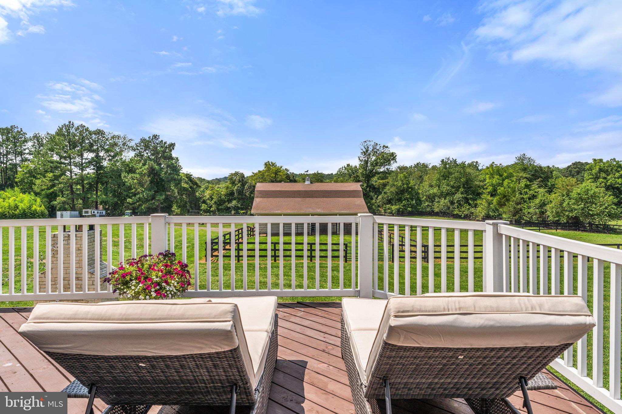 SADDLE RIDGE FARMS - Residential