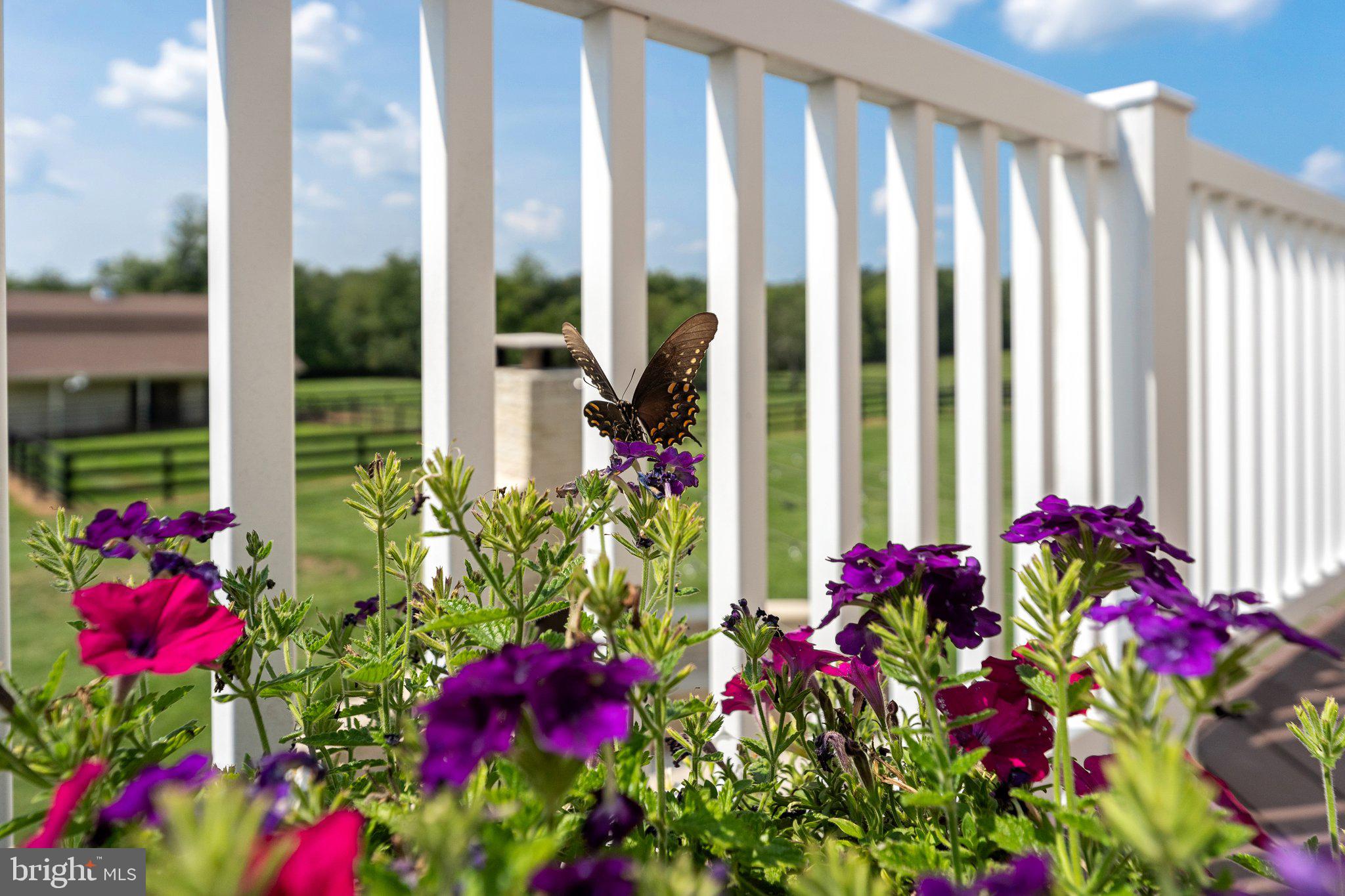 SADDLE RIDGE FARMS - Residential