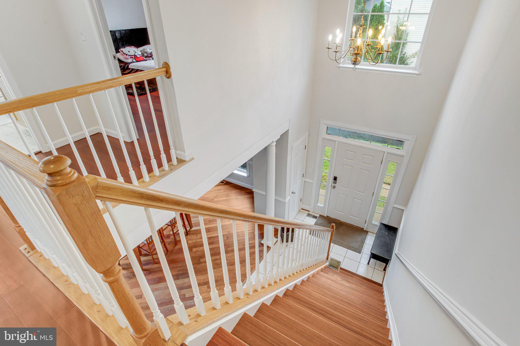 15024 LUTZ COURT
