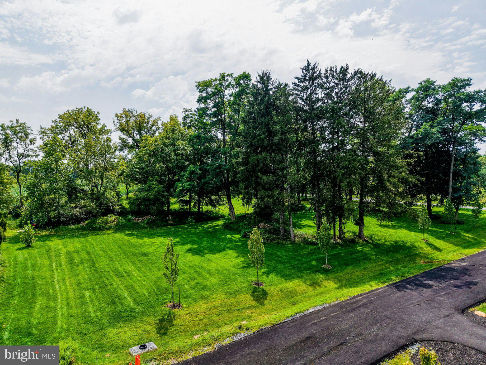 1897 MEADOWS ROAD