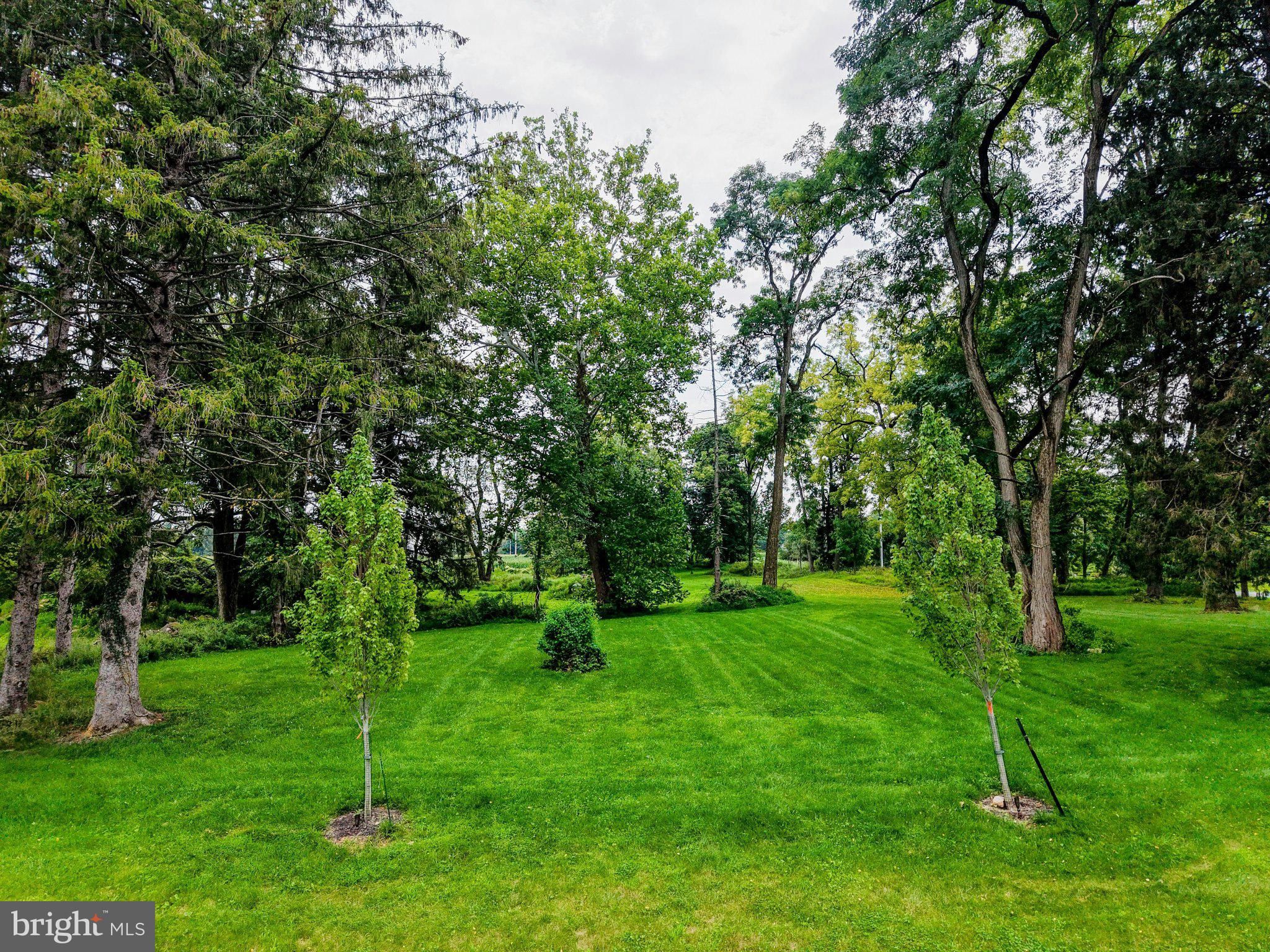 1897 MEADOWS ROAD