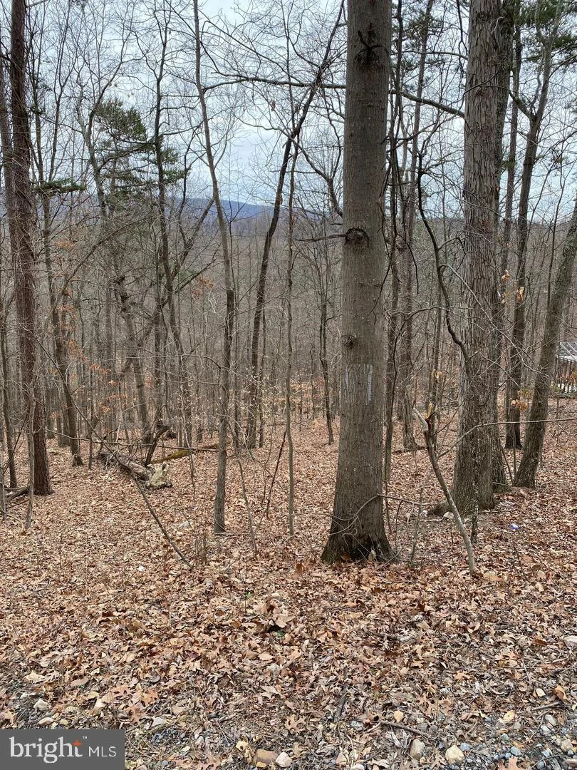Additional image 8 of 60 Old Oregon Road, Front Royal, VA 22630