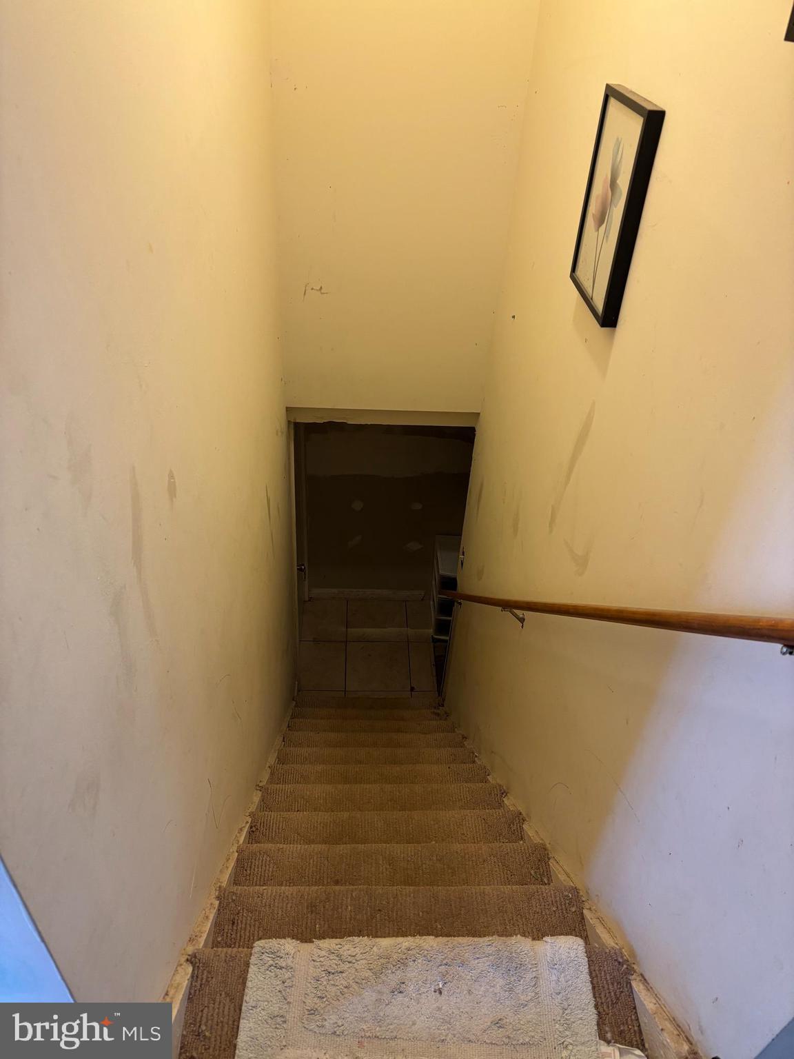 BELVEDERE - Residential