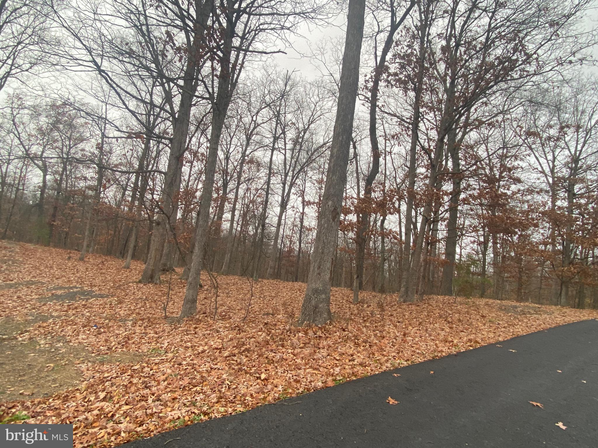 Lot 16 COLONIAL HEIGHTS DRIVE