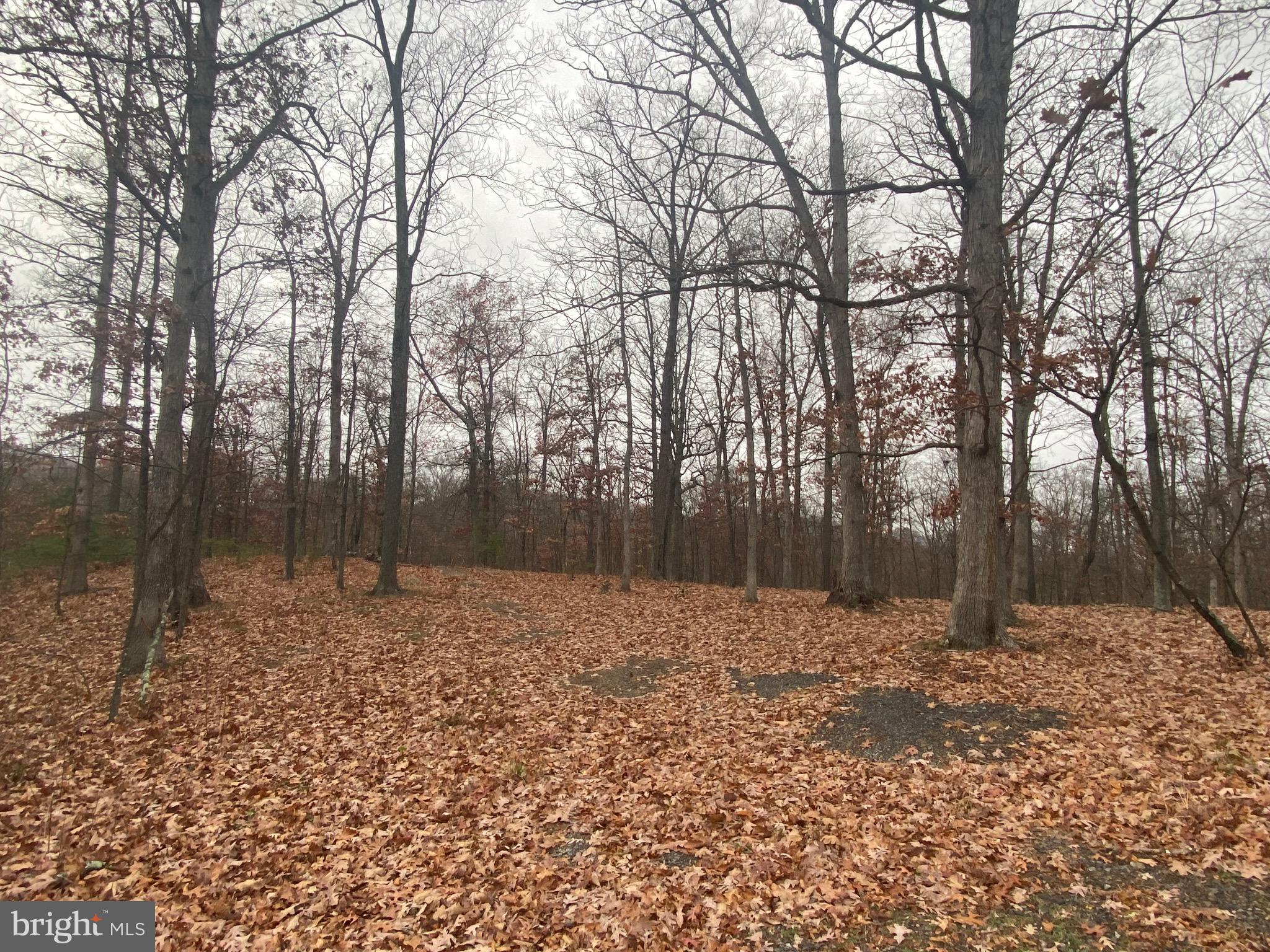 COLONIAL HEIGHTS - Land