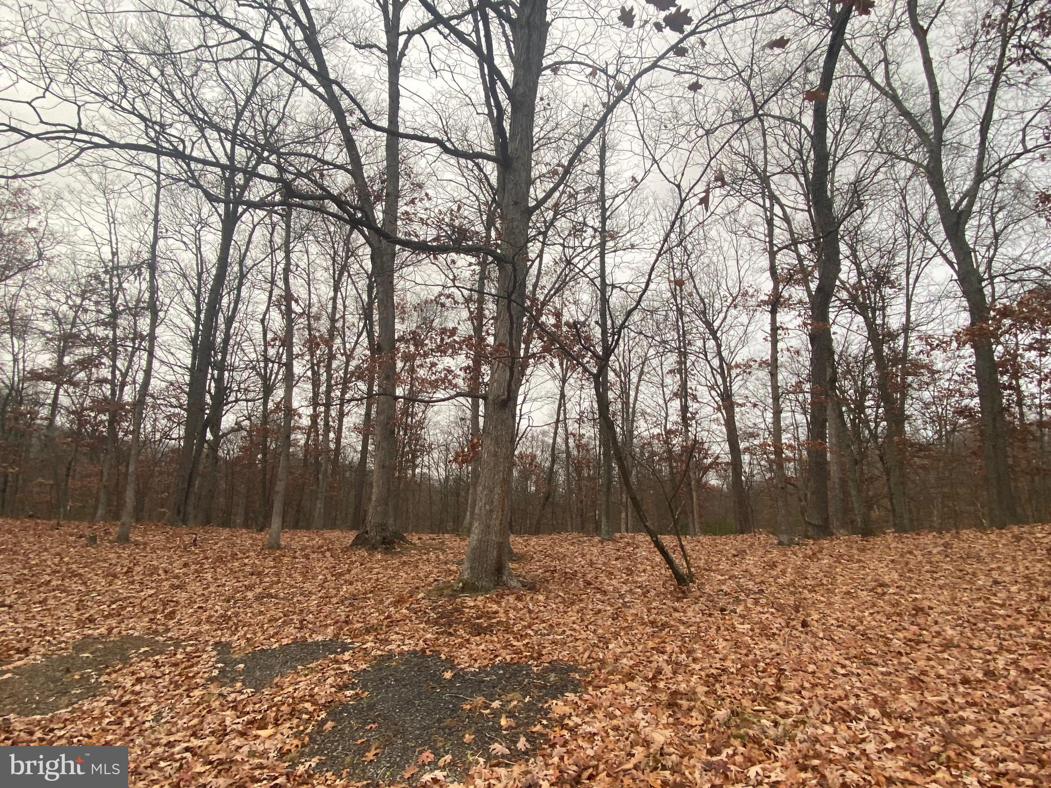 COLONIAL HEIGHTS - Land