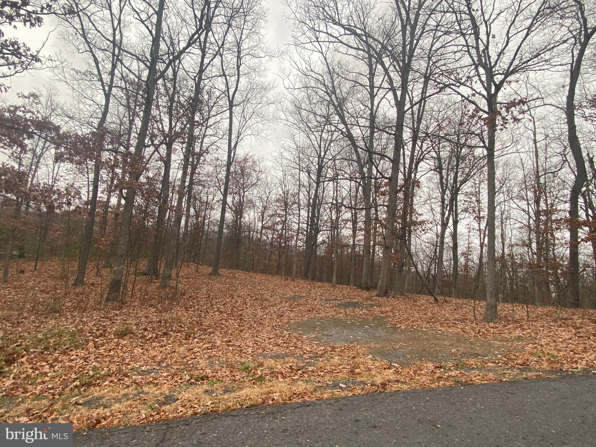 Lot 16 COLONIAL HEIGHTS DRIVE