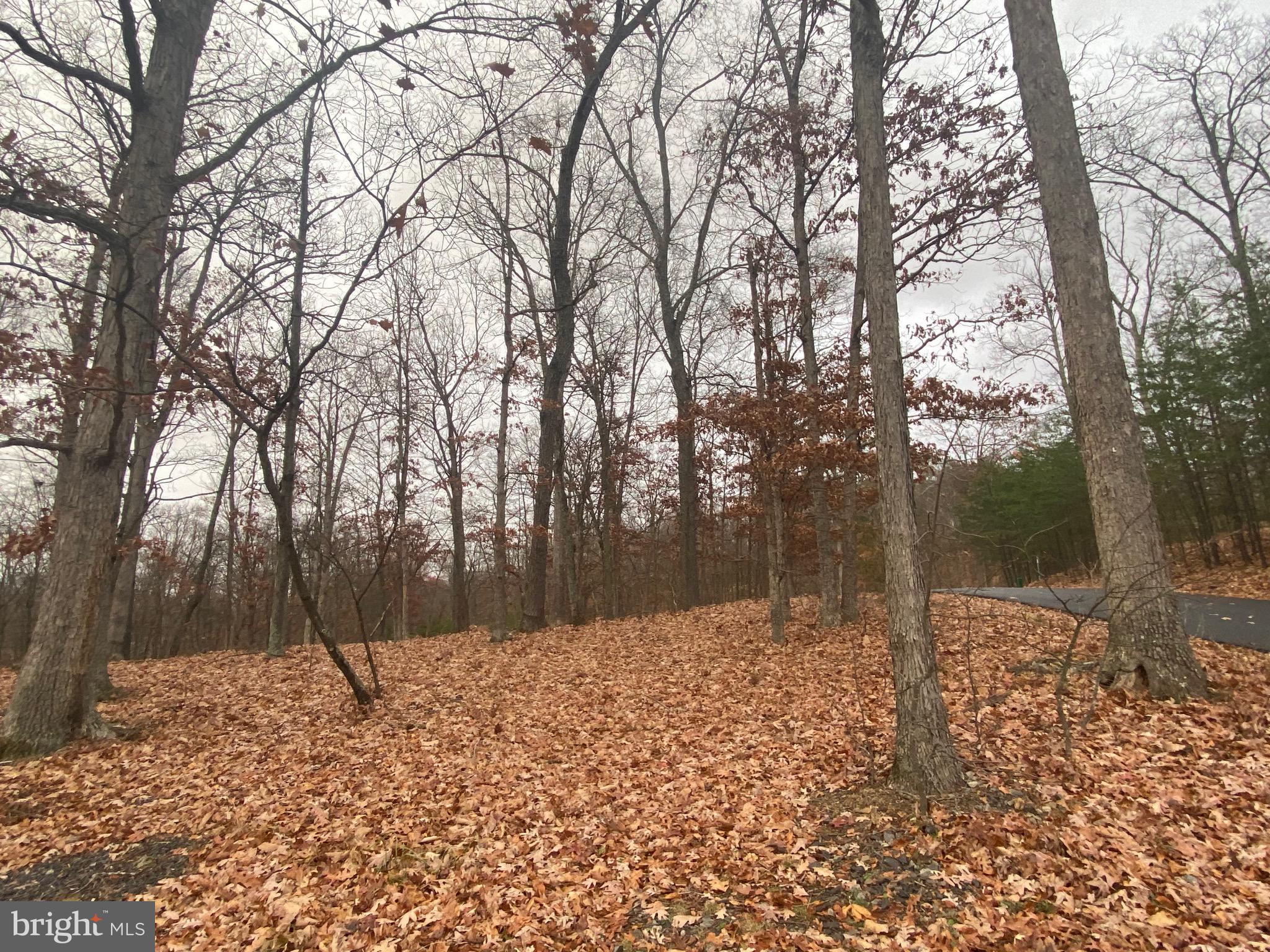 COLONIAL HEIGHTS - Land